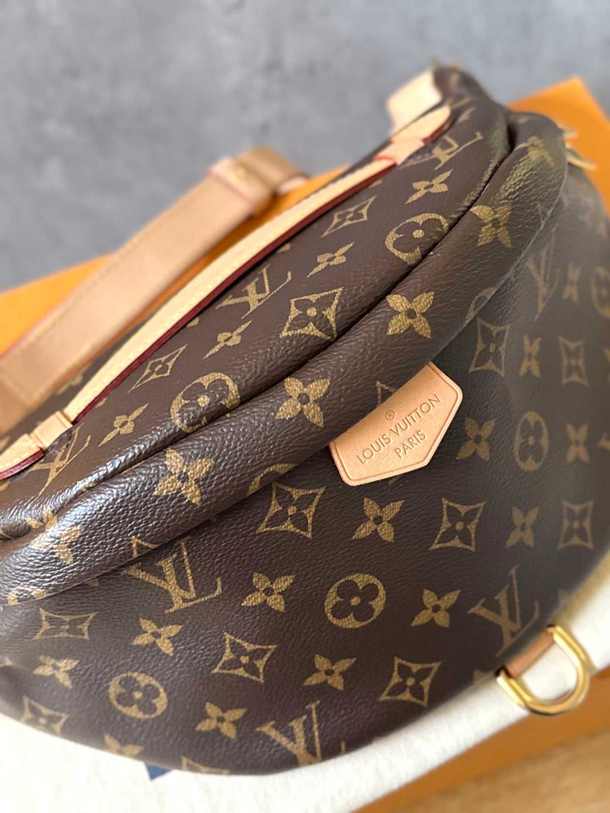 LV Bumbag MM monogram