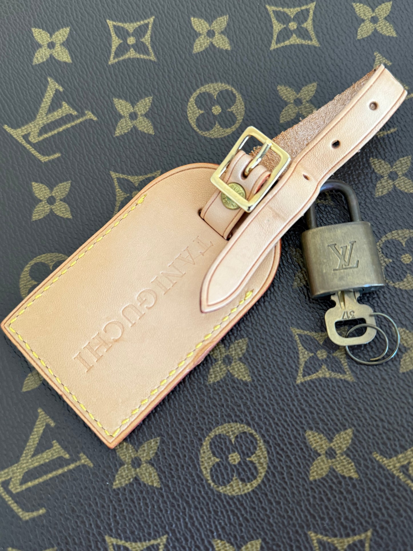 LV Pegase 55 Rolling Luggage