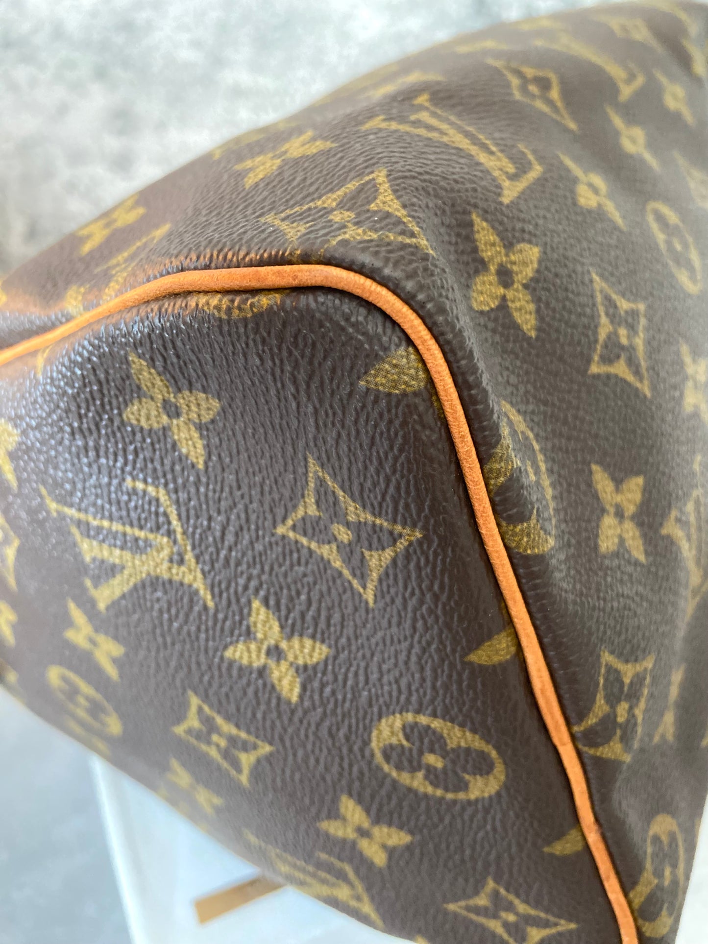 LV Speedy 25 Monogram