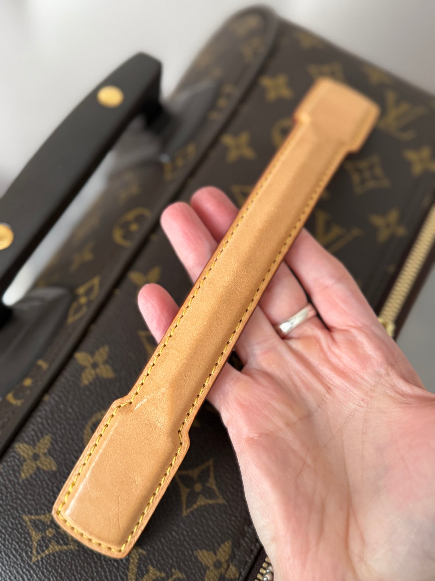 LV Pegase 45 Rolling Luggage