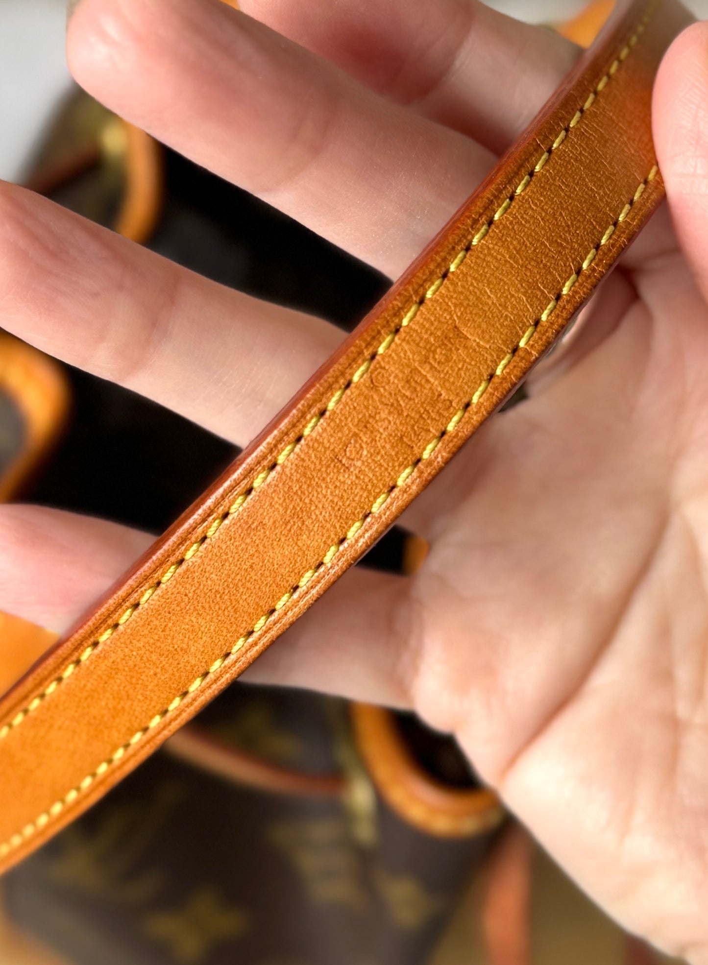 LV Mini Noe