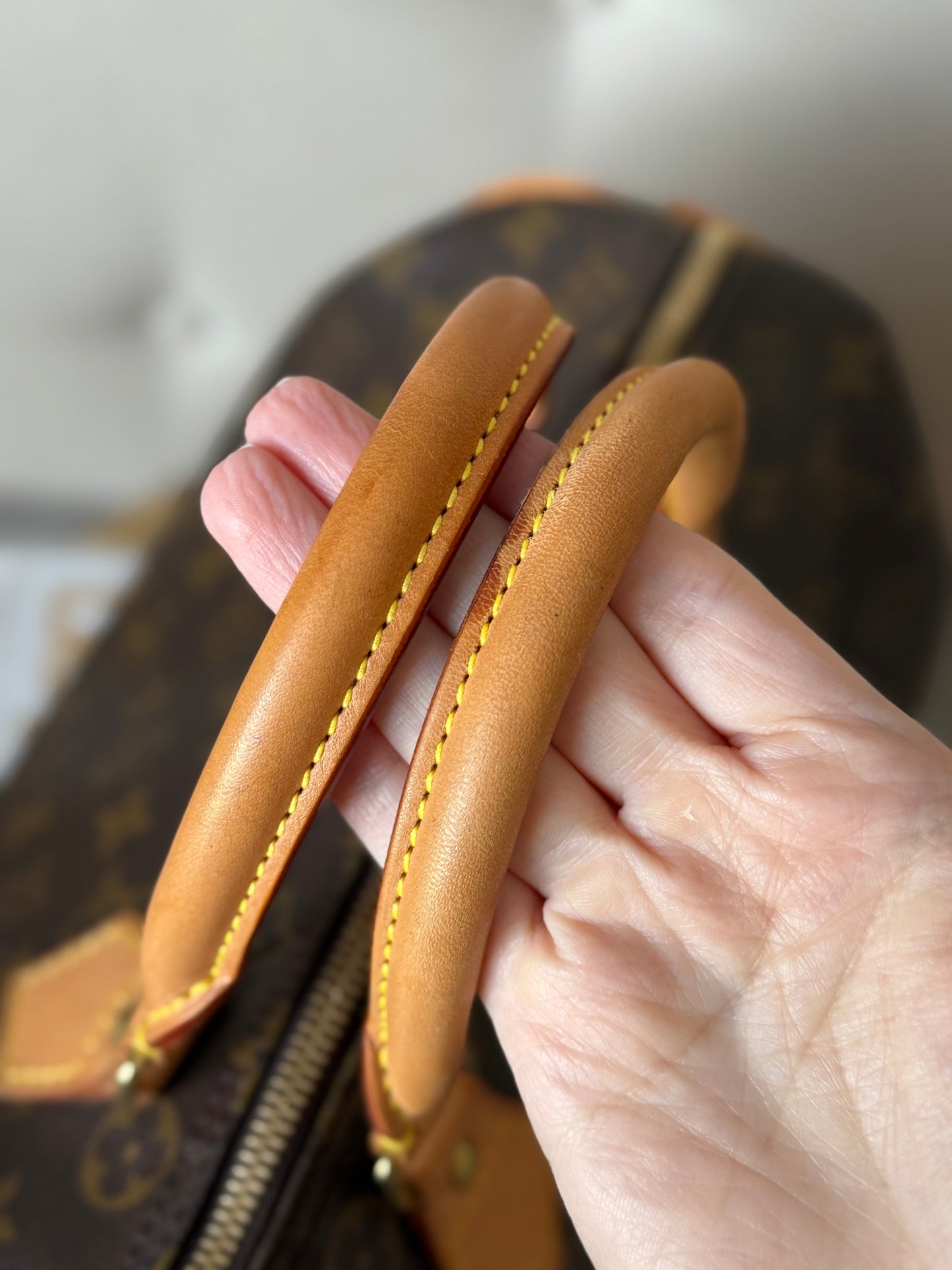 LV Speedy 30 Monogram