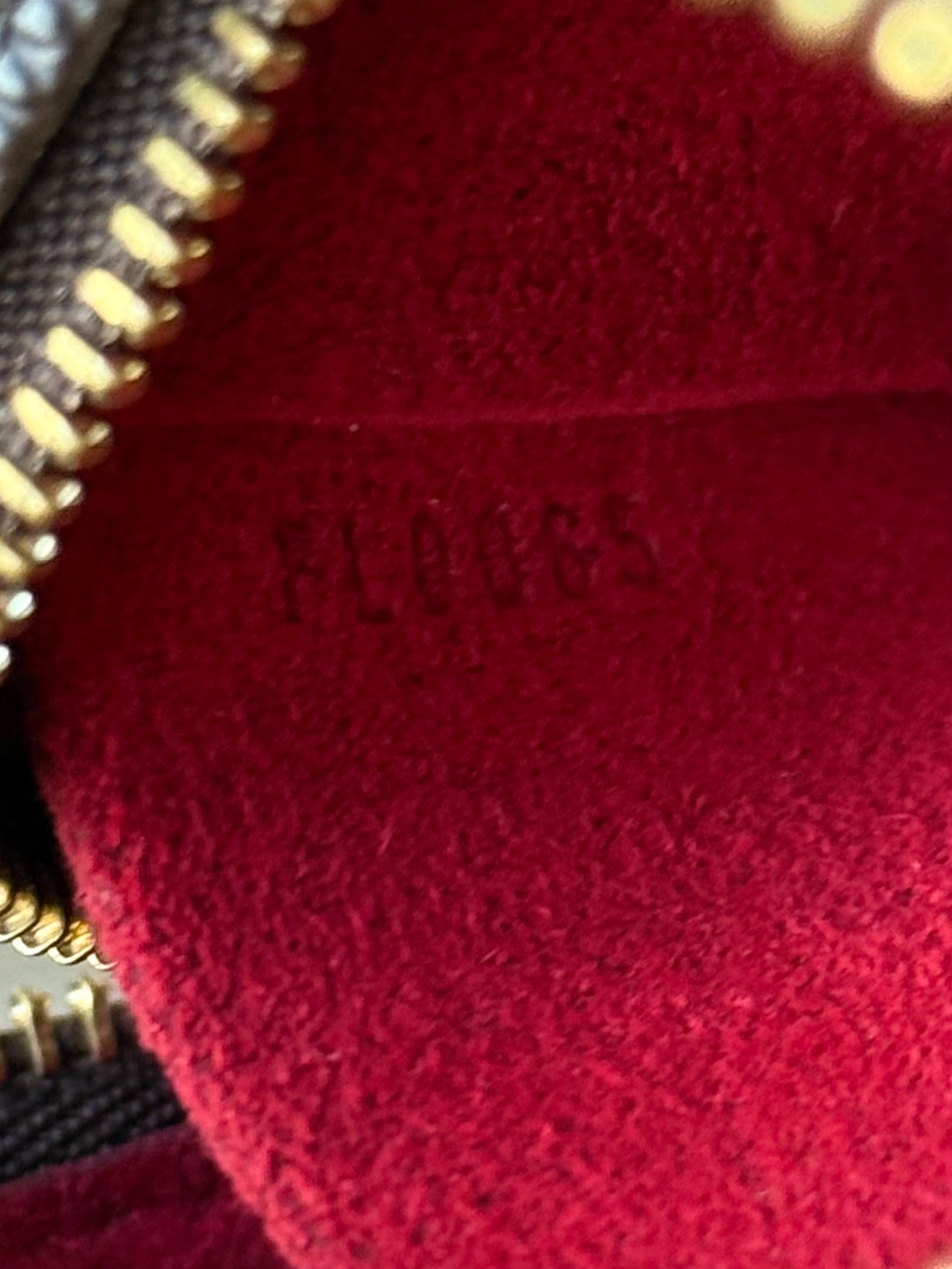 LV Wapity Pouch