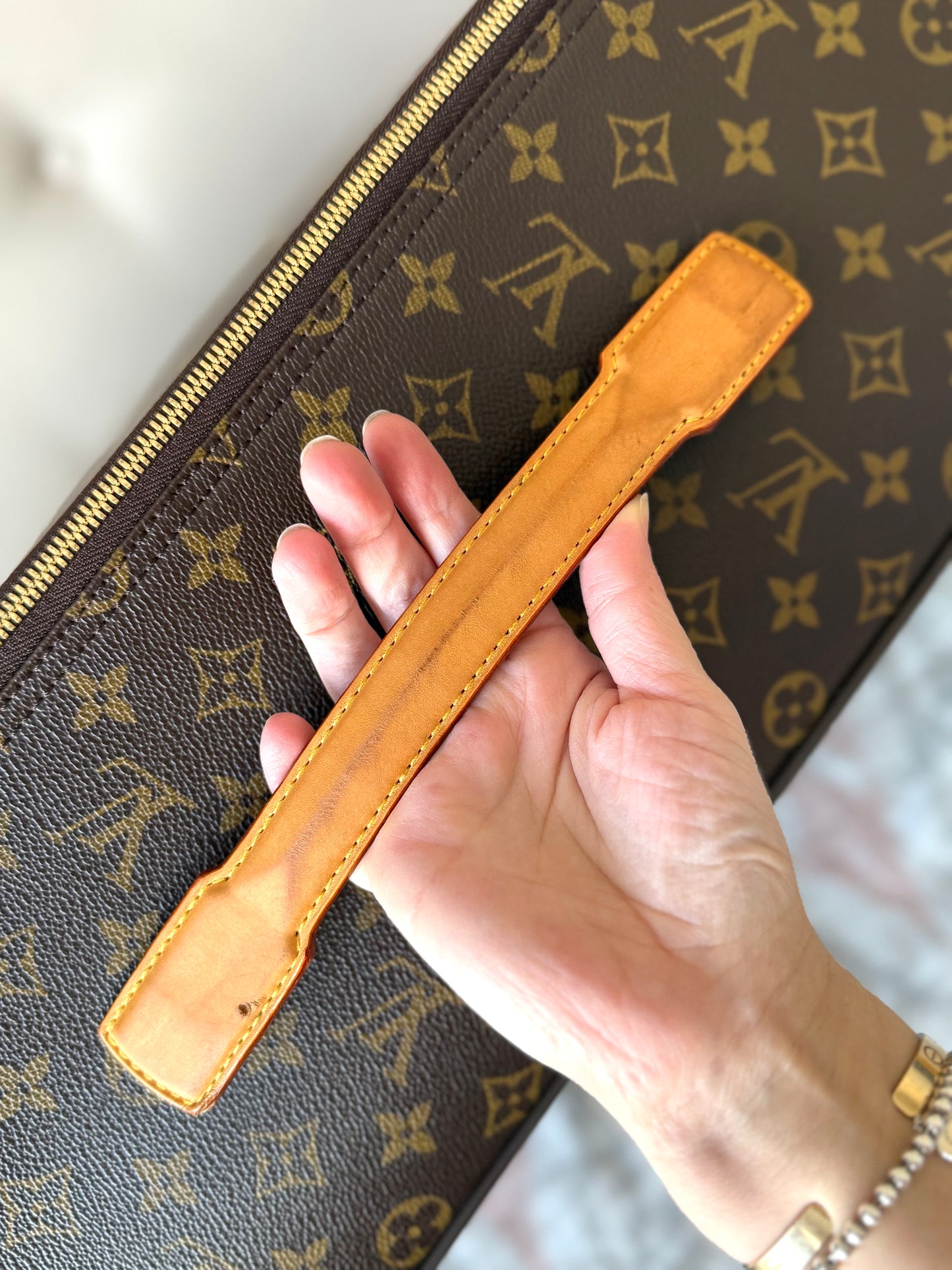 LV Pegase 55 Rolling Luggage