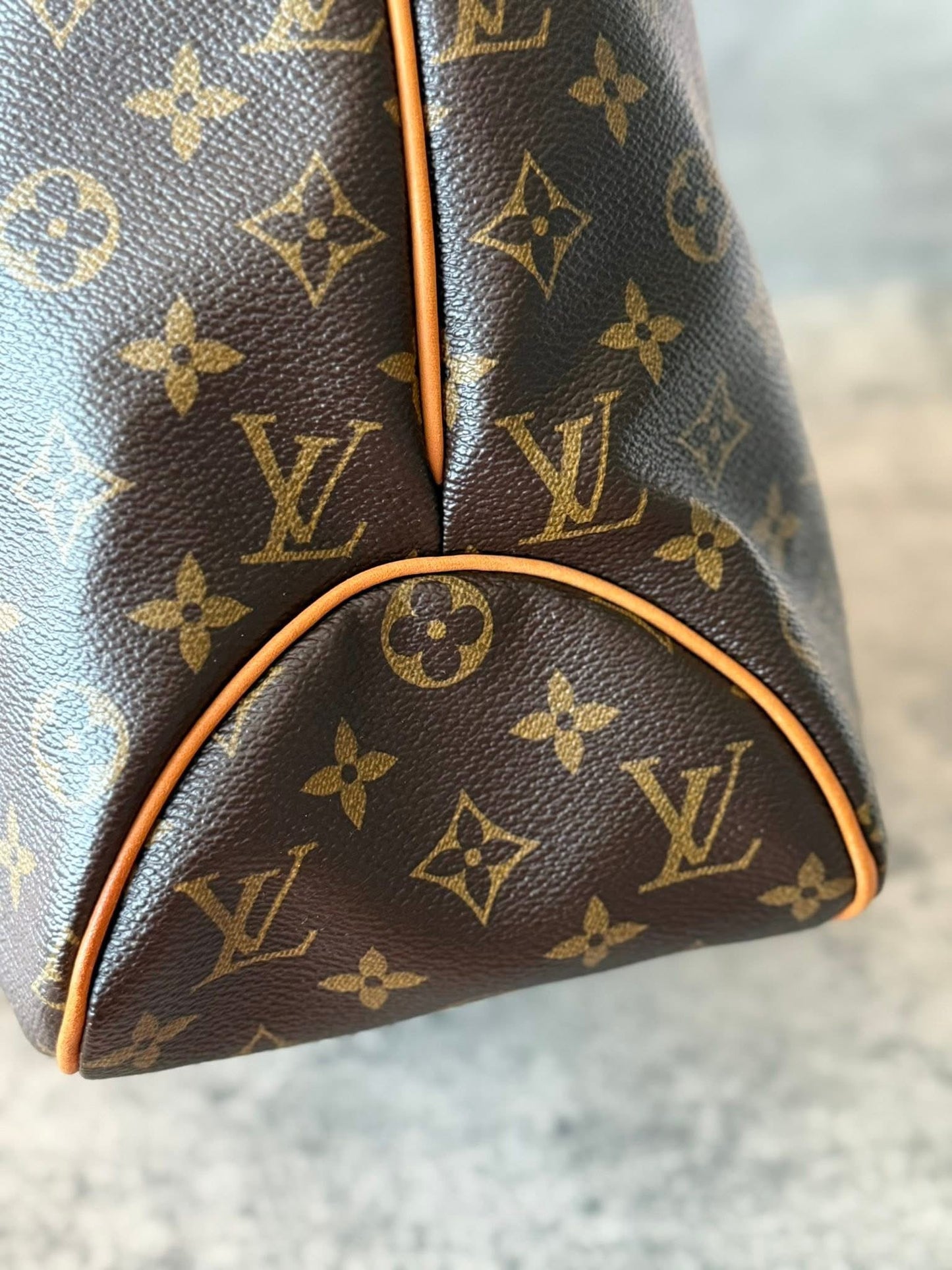 LV Delightful MM Old model