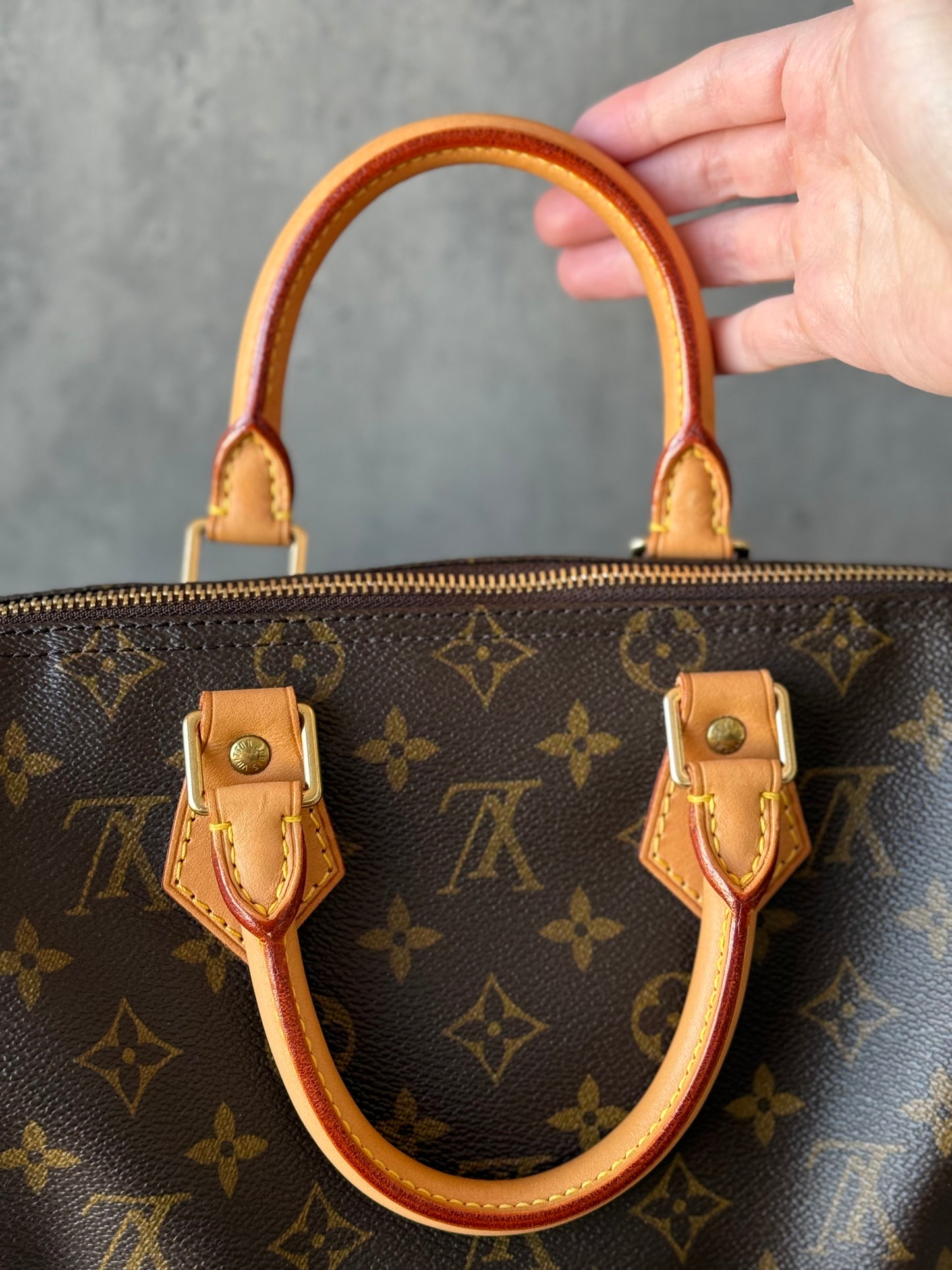 LV Speedy 25 Monogram