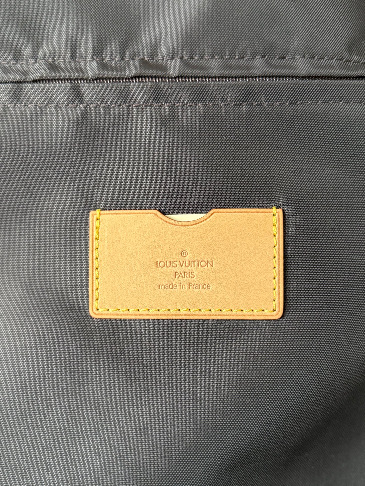 LV Pegase 45 Rolling Luggage