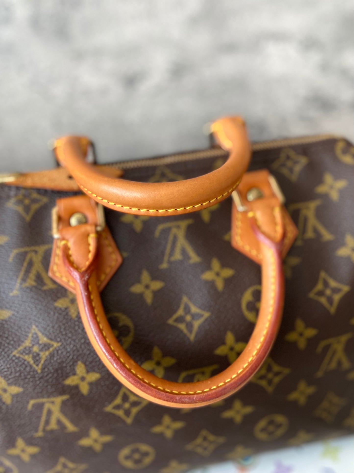 LV Speedy 25 Monogram