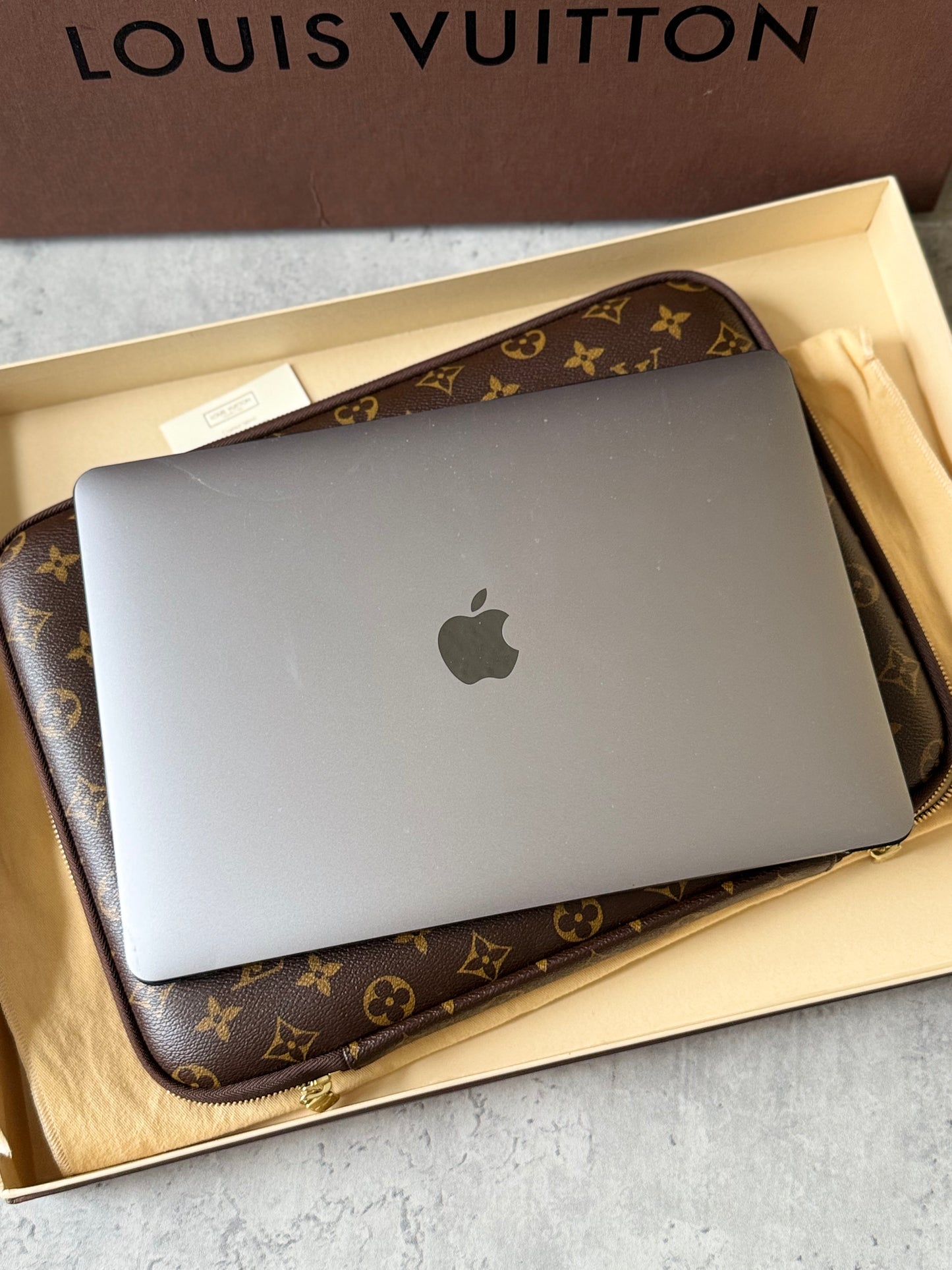 LV Laptop sleeve monogram