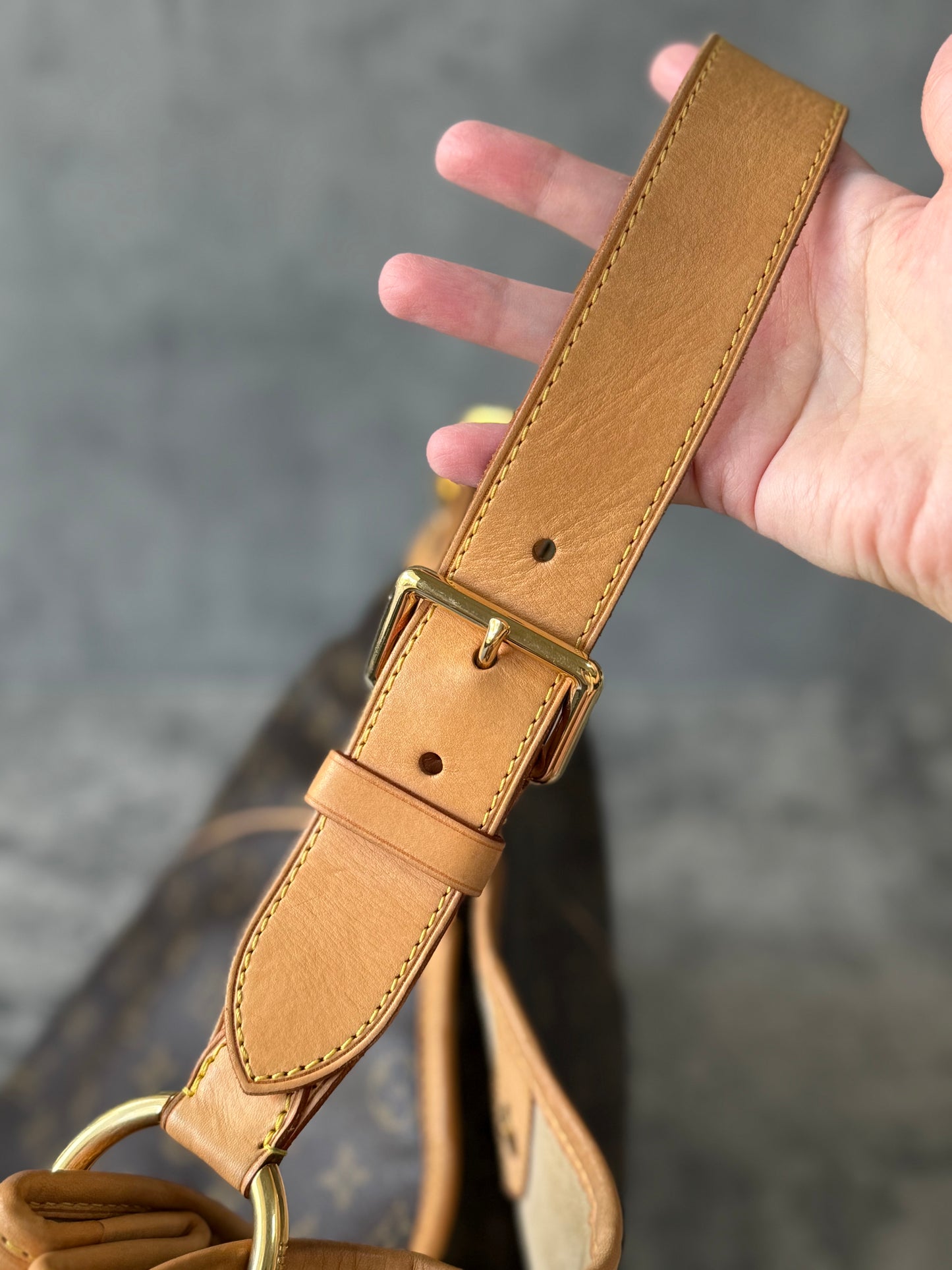 Louis Vuitton Galliera GM Monogram