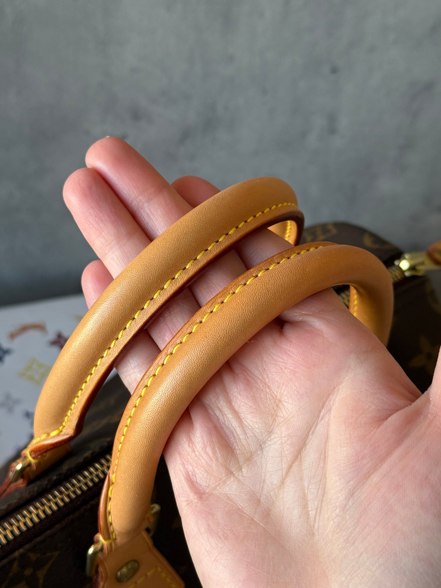 LV Speedy 25 Monogram