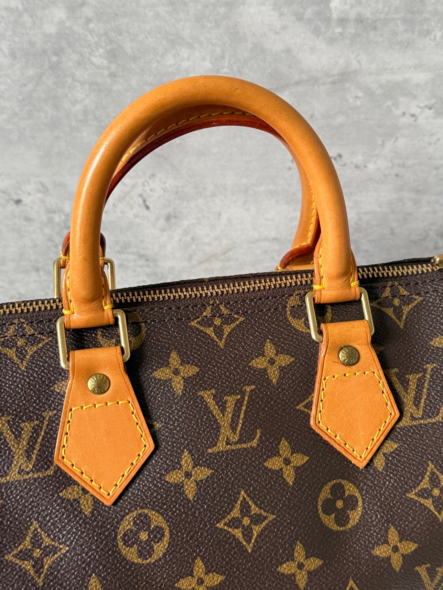 Louis Vuitton Speedy 25 Monogram