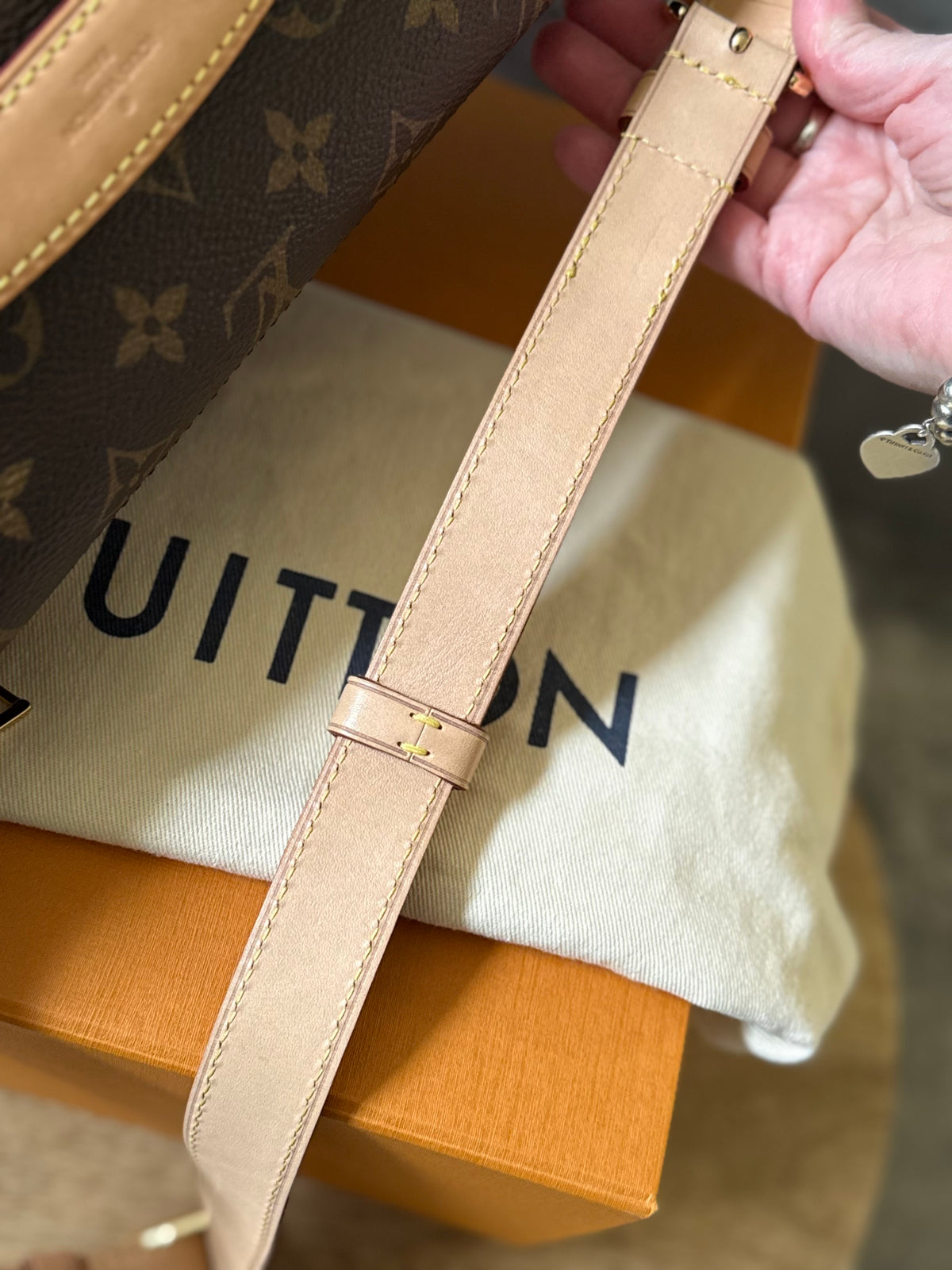 LV Bumbag MM monogram