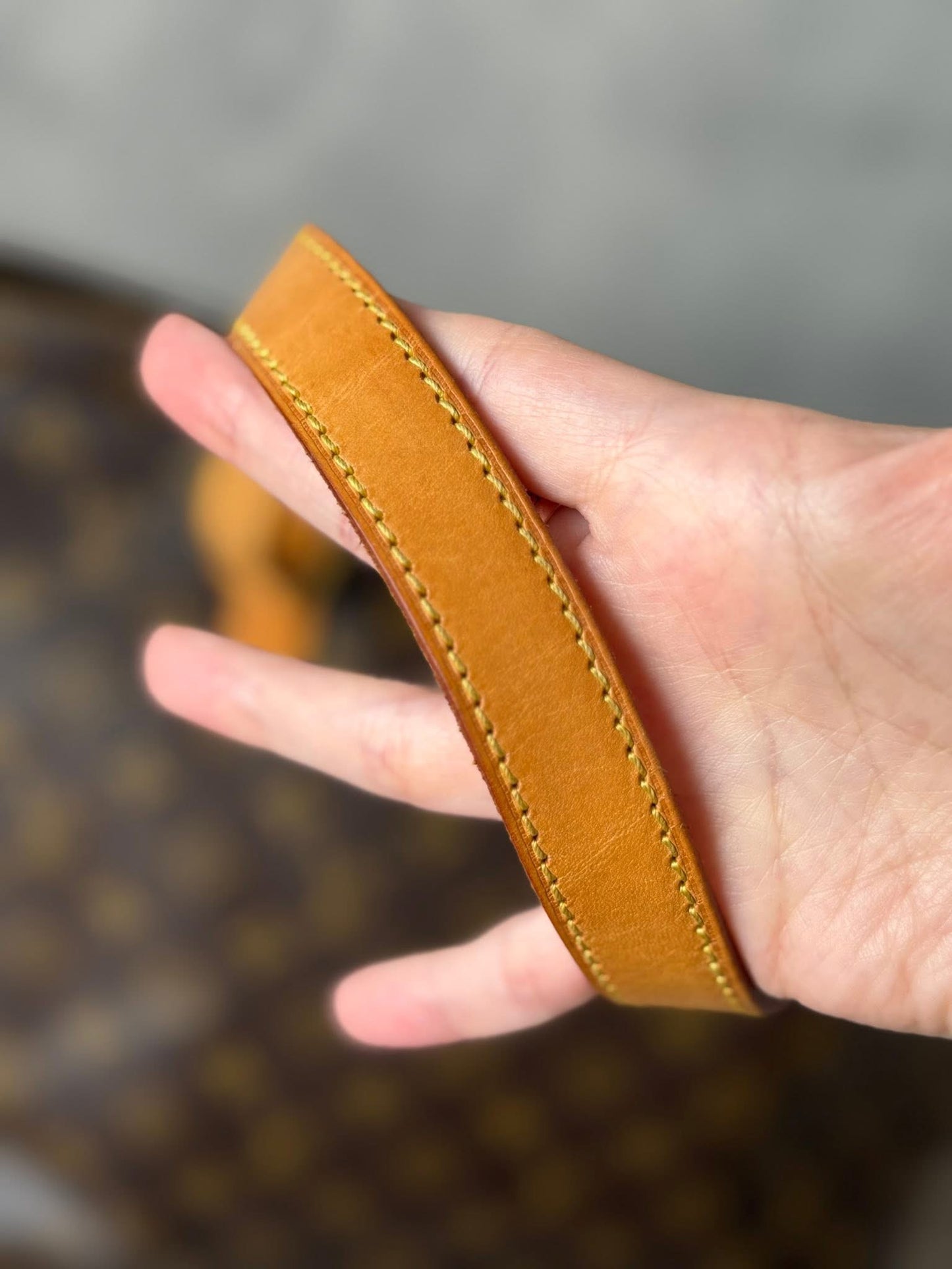 LV Cabas Mezzo