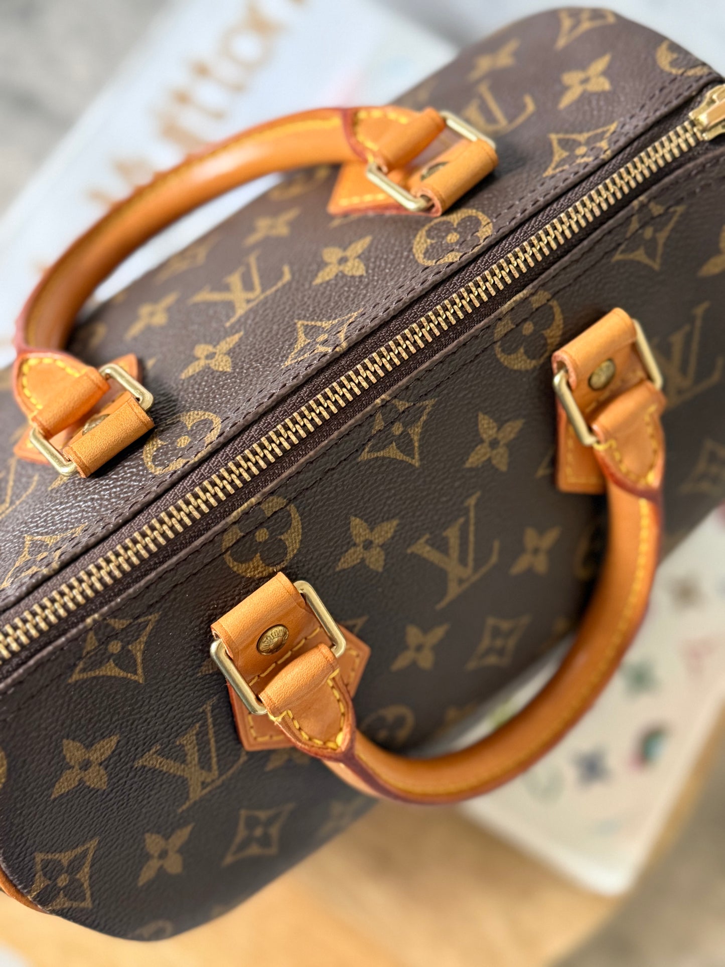 Louis Vuitton Speedy 25 Monogram