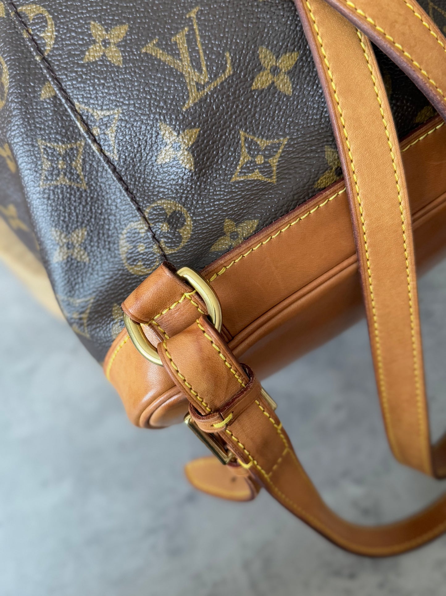 LV Montsouris MM Backpack