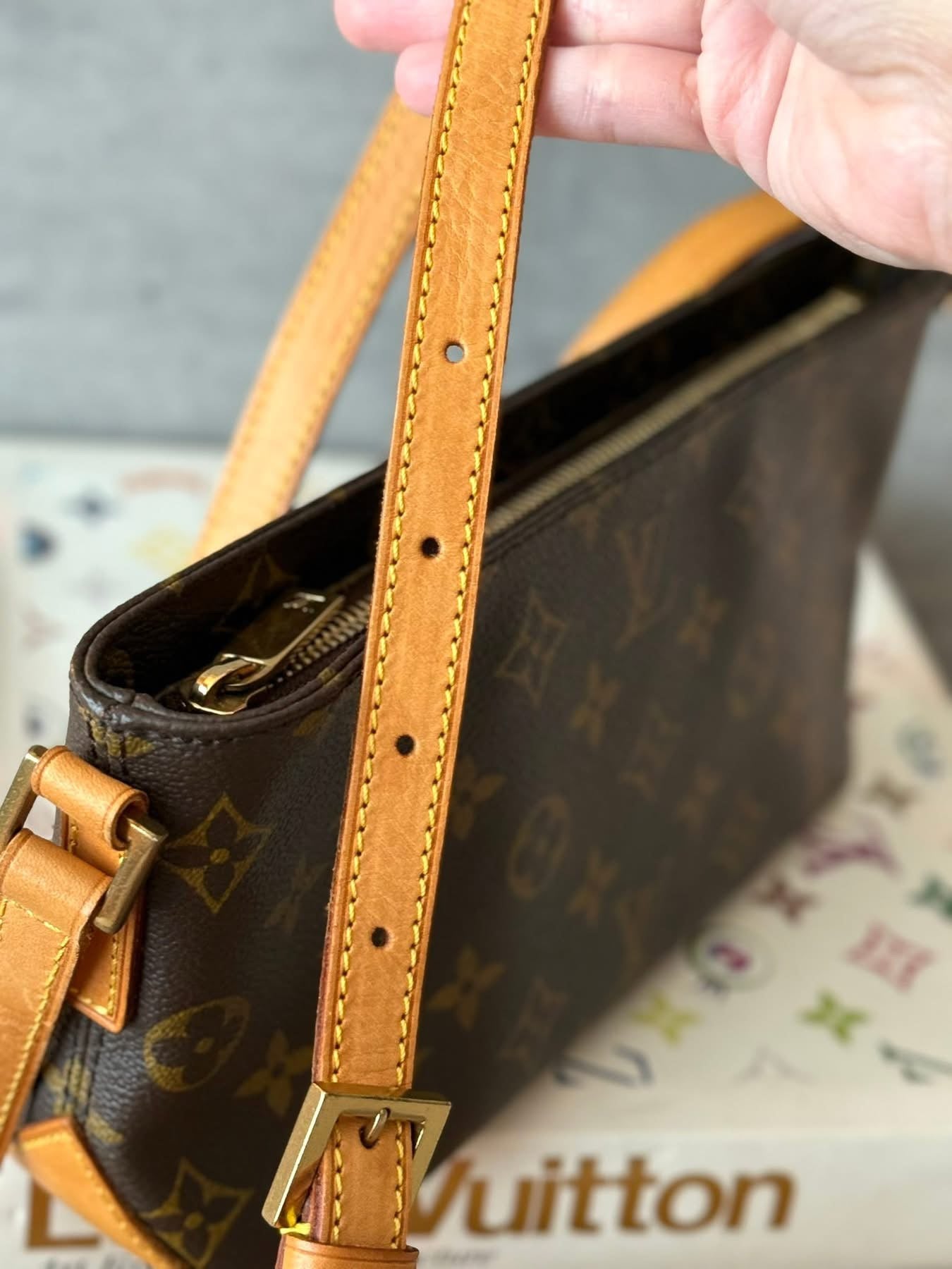 LV Trotteur crossbody