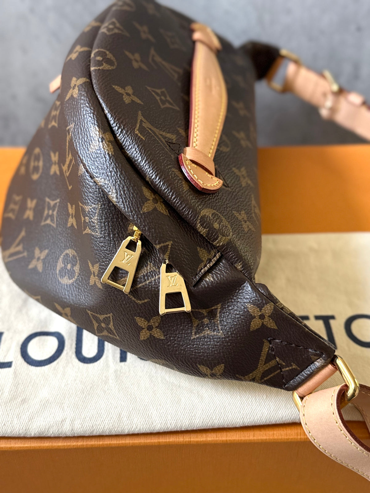 LV Bumbag MM monogram