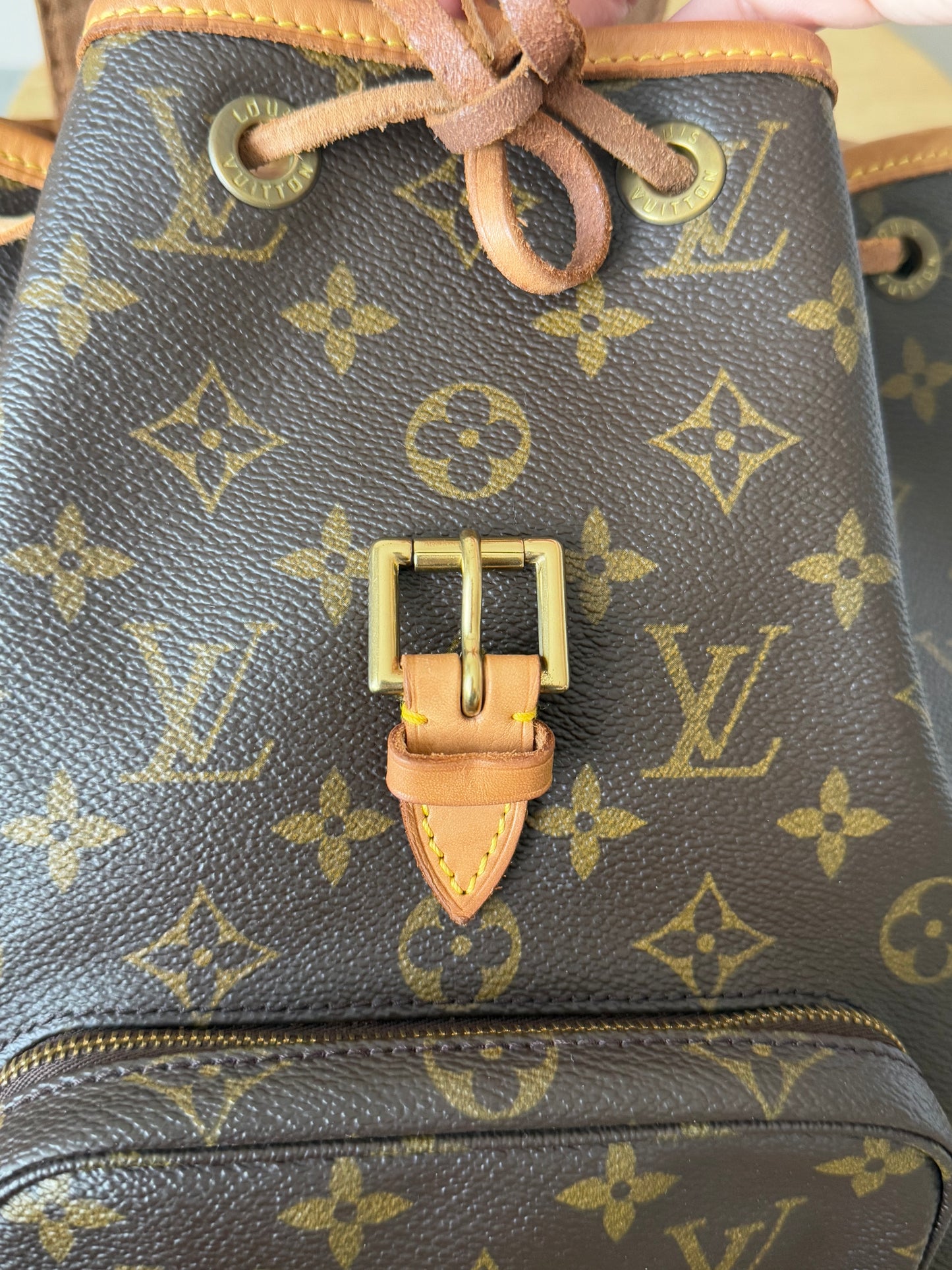 LV Montsouris MM Backpack