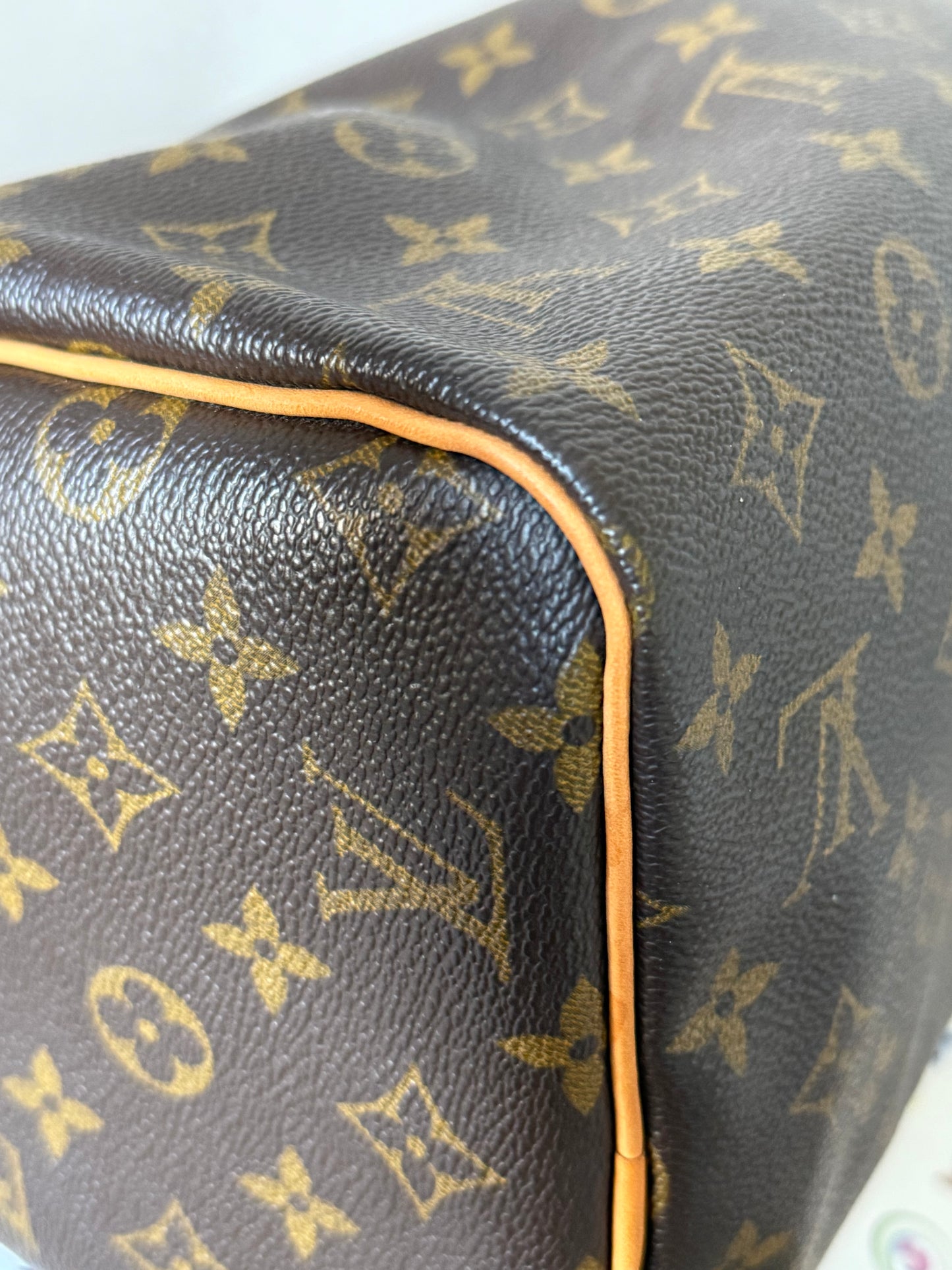 LV Speedy 30 Monogram