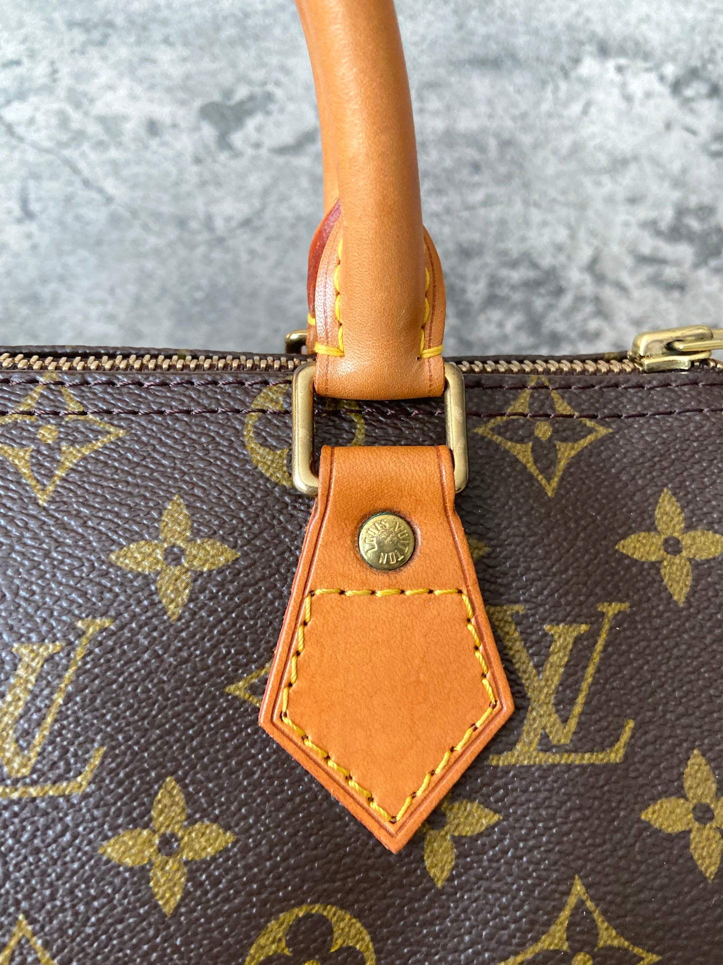 LV Speedy 25 Monogram