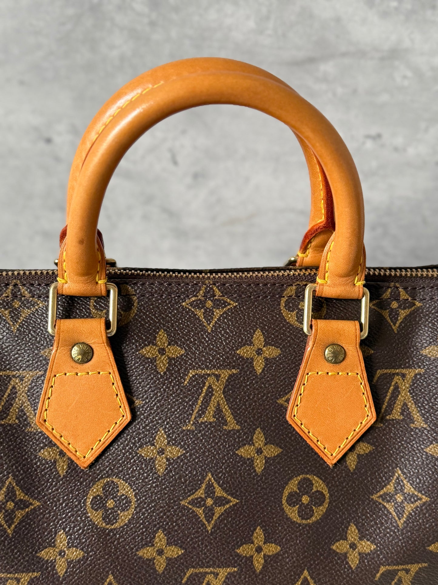 Louis Vuitton Speedy 25 Monogram