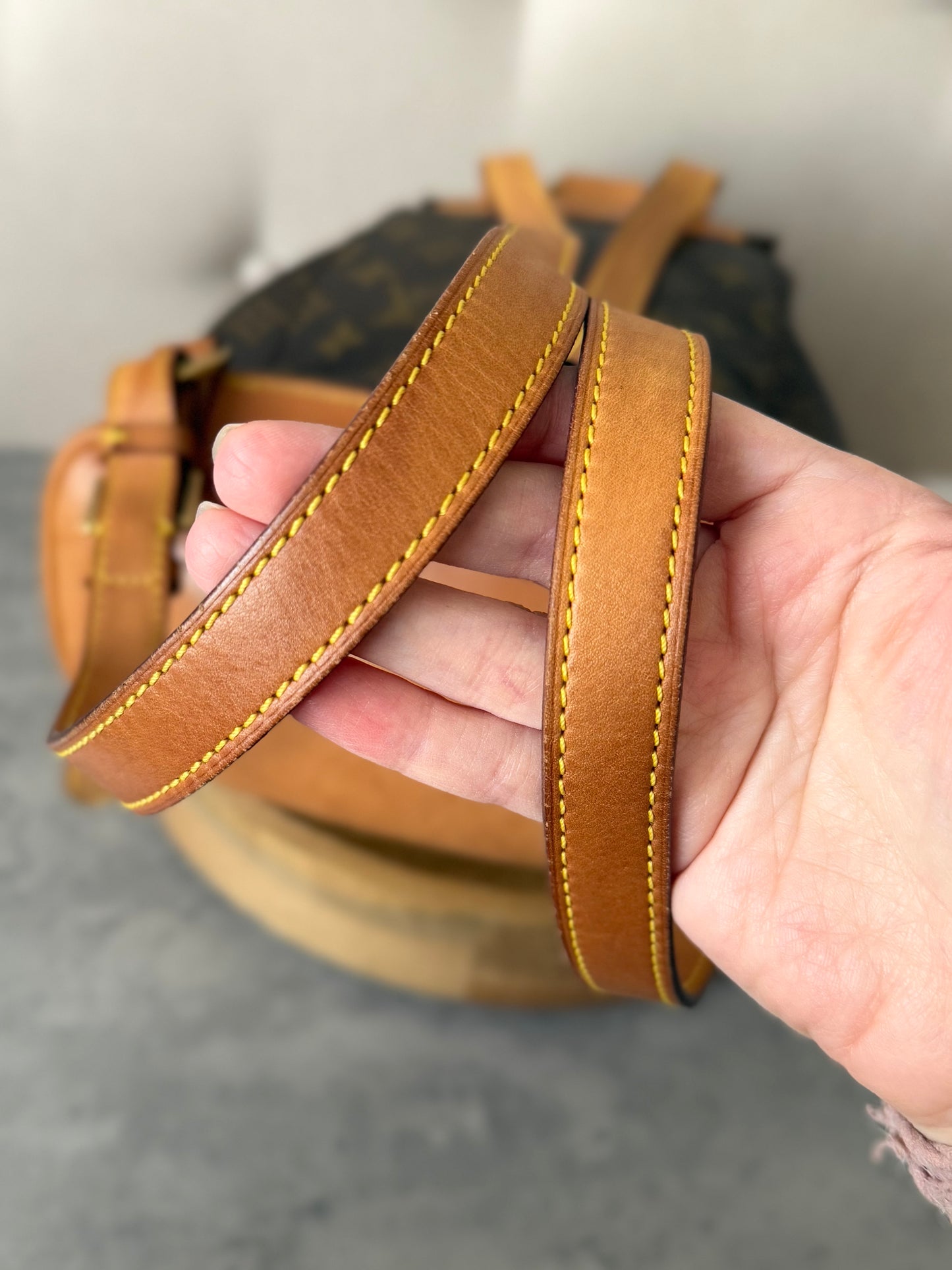 LV Montsouris MM Backpack