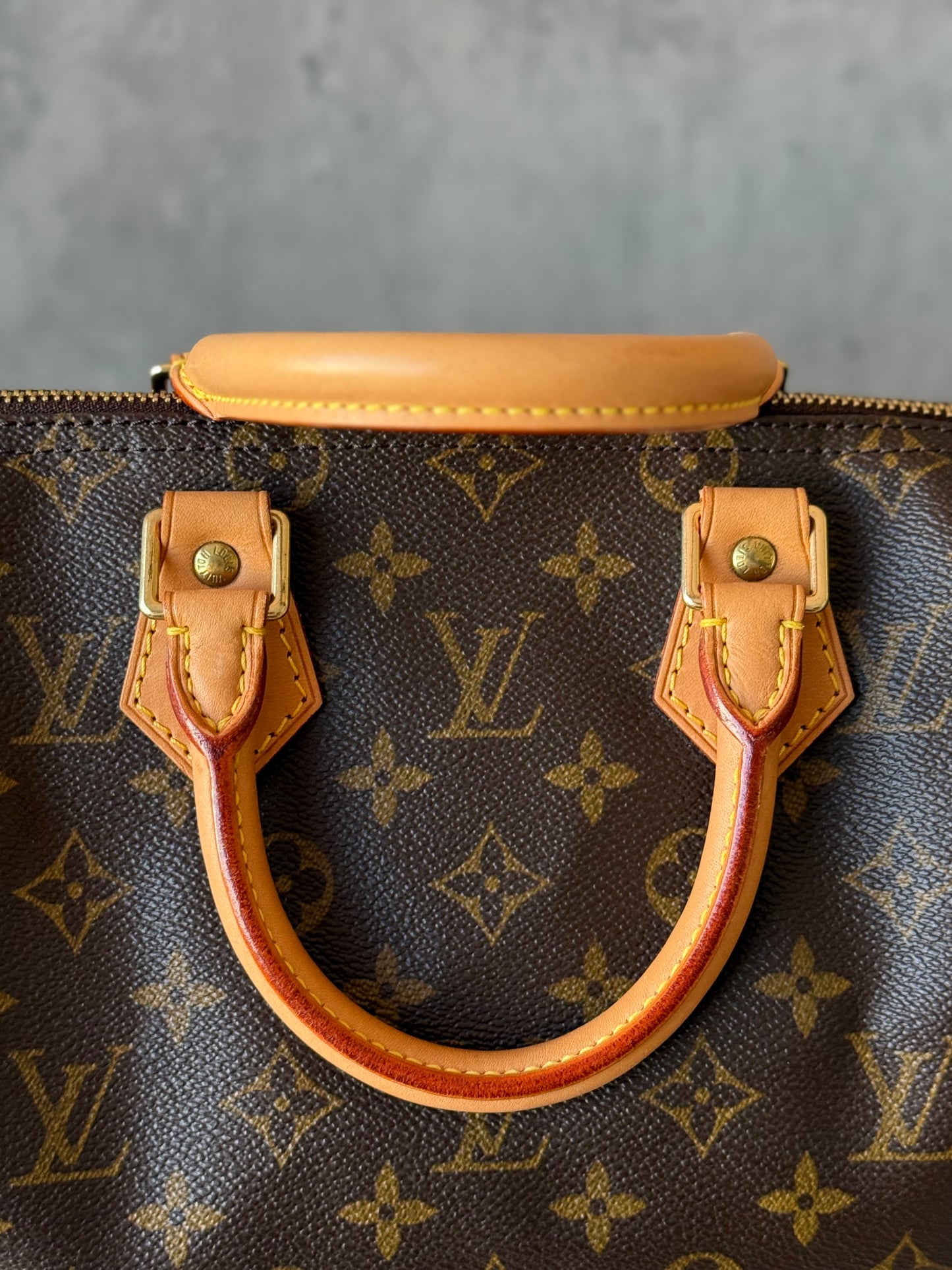 LV Speedy 25 Monogram