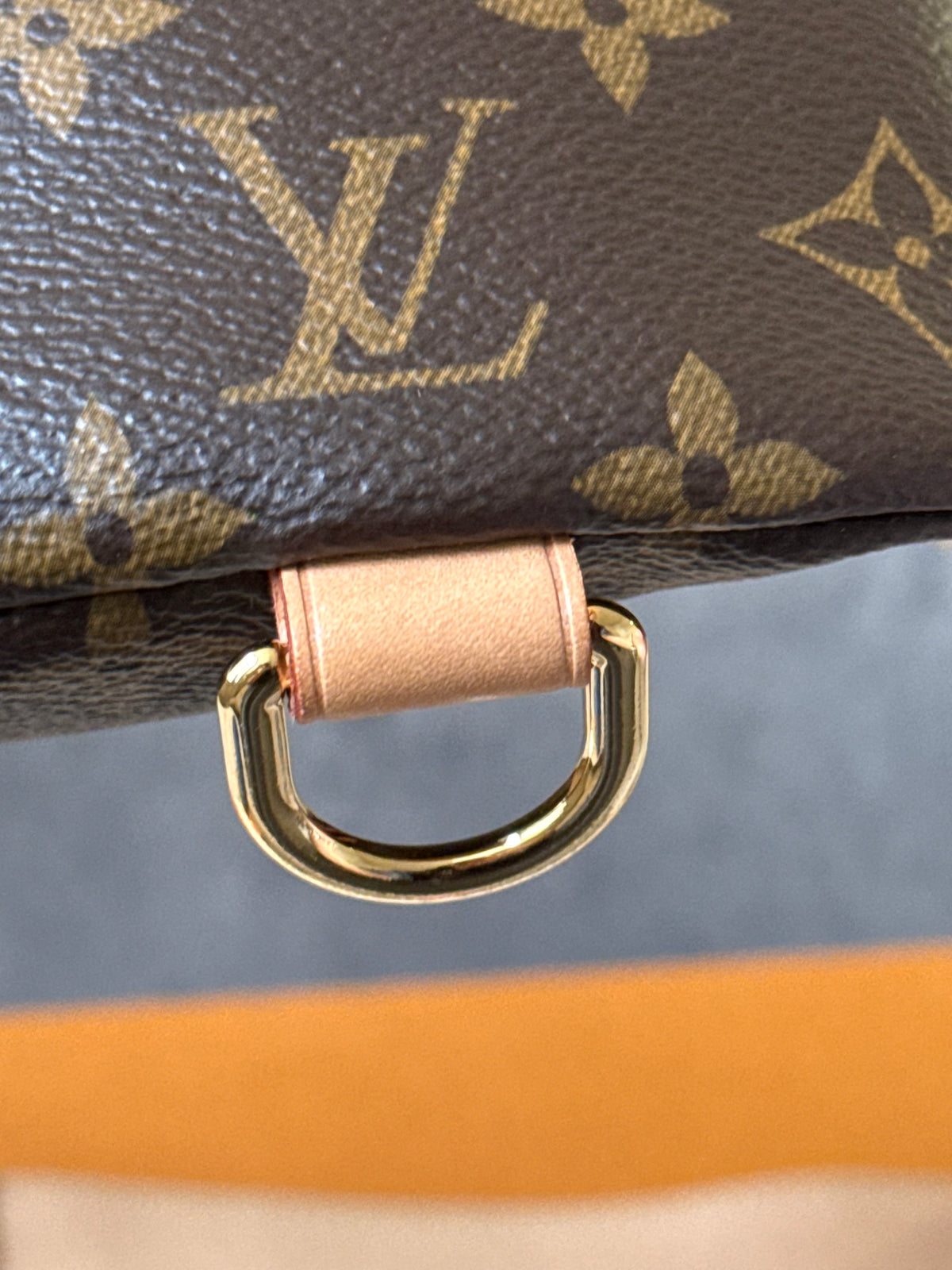 LV Bumbag MM monogram