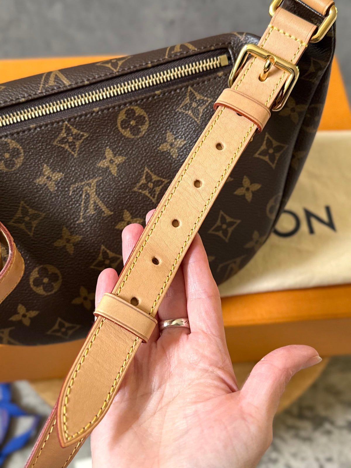 LV Bumbag MM monogram