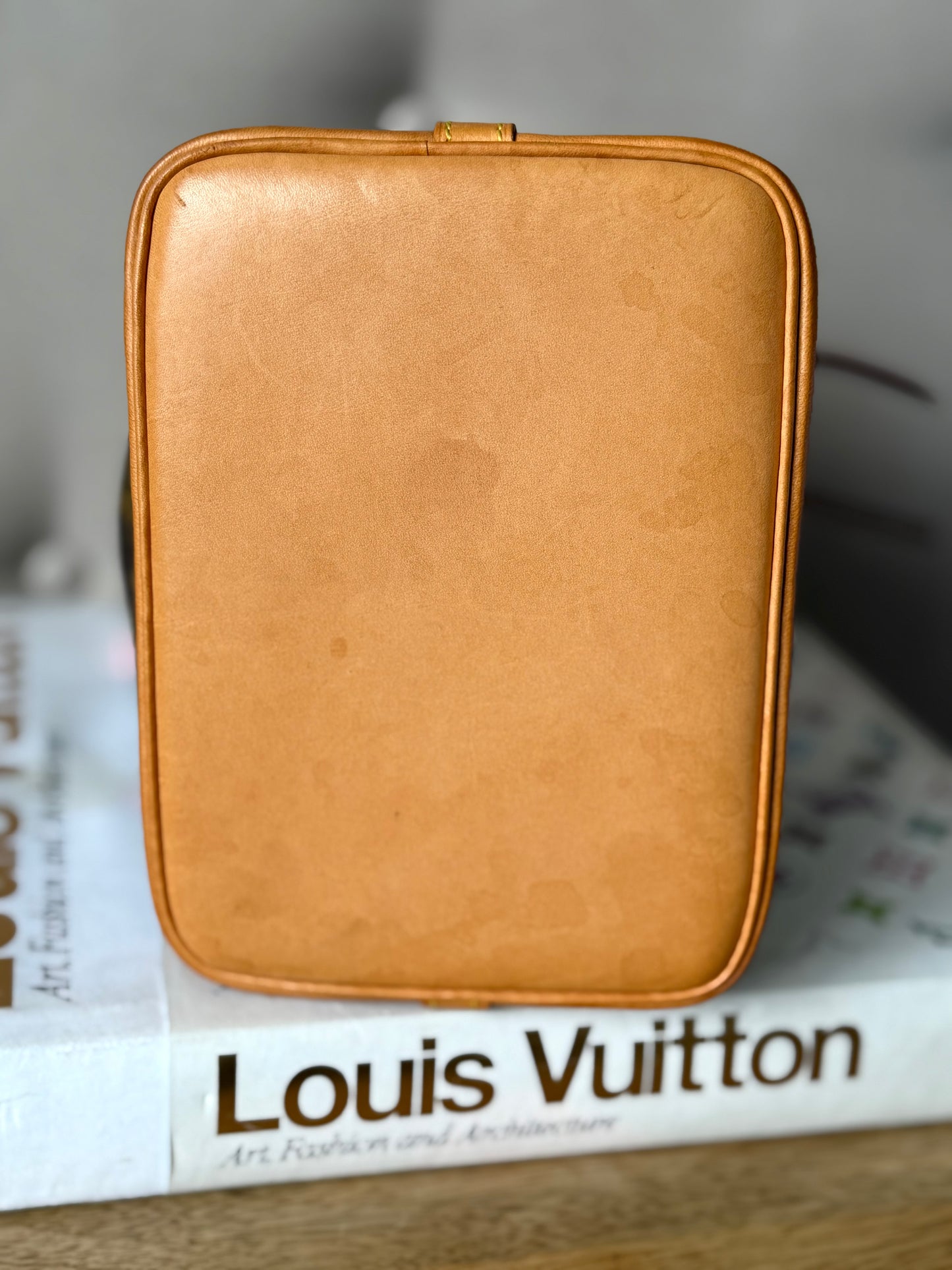 LV Mini Noe