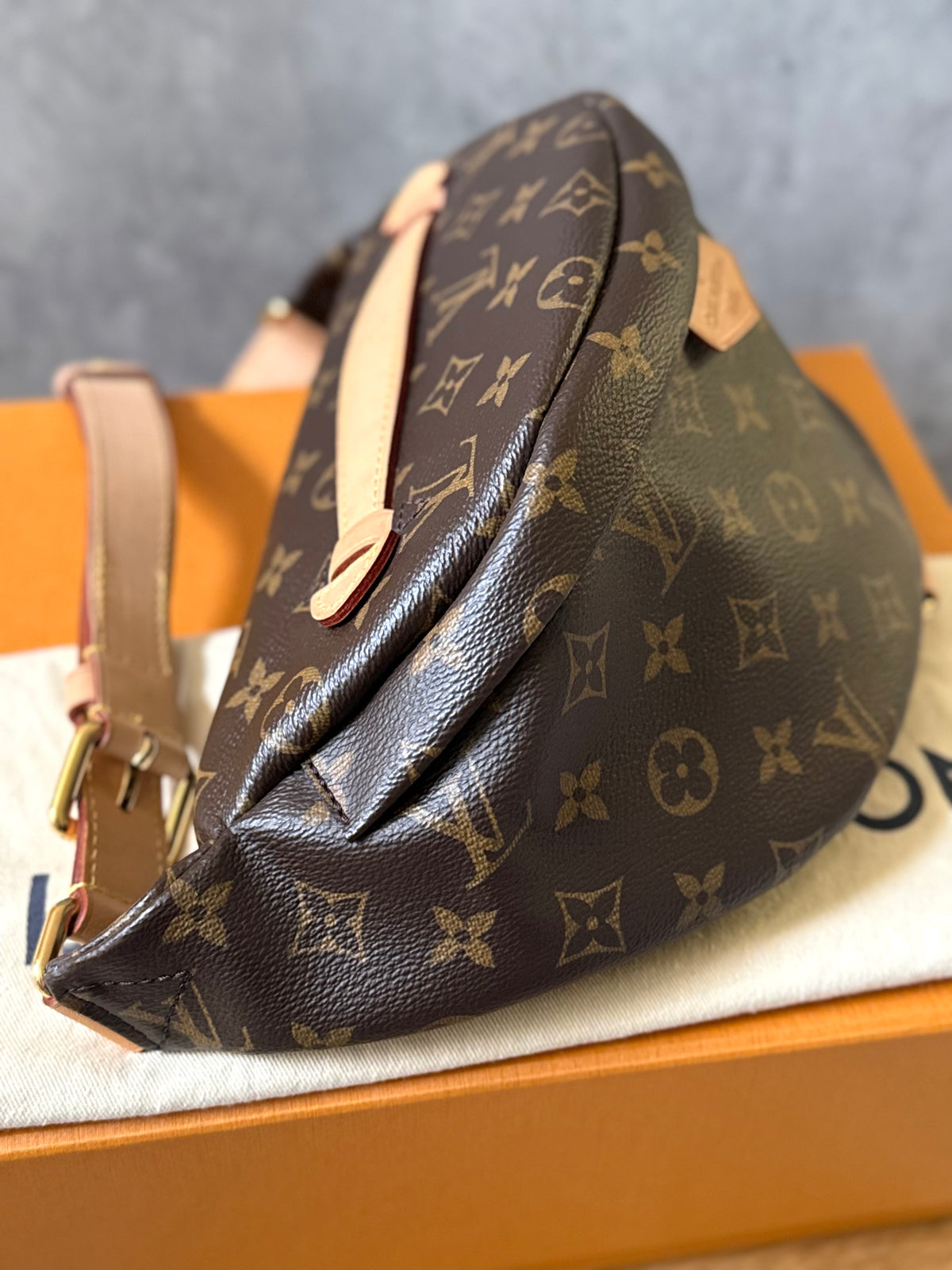 LV Bumbag MM monogram