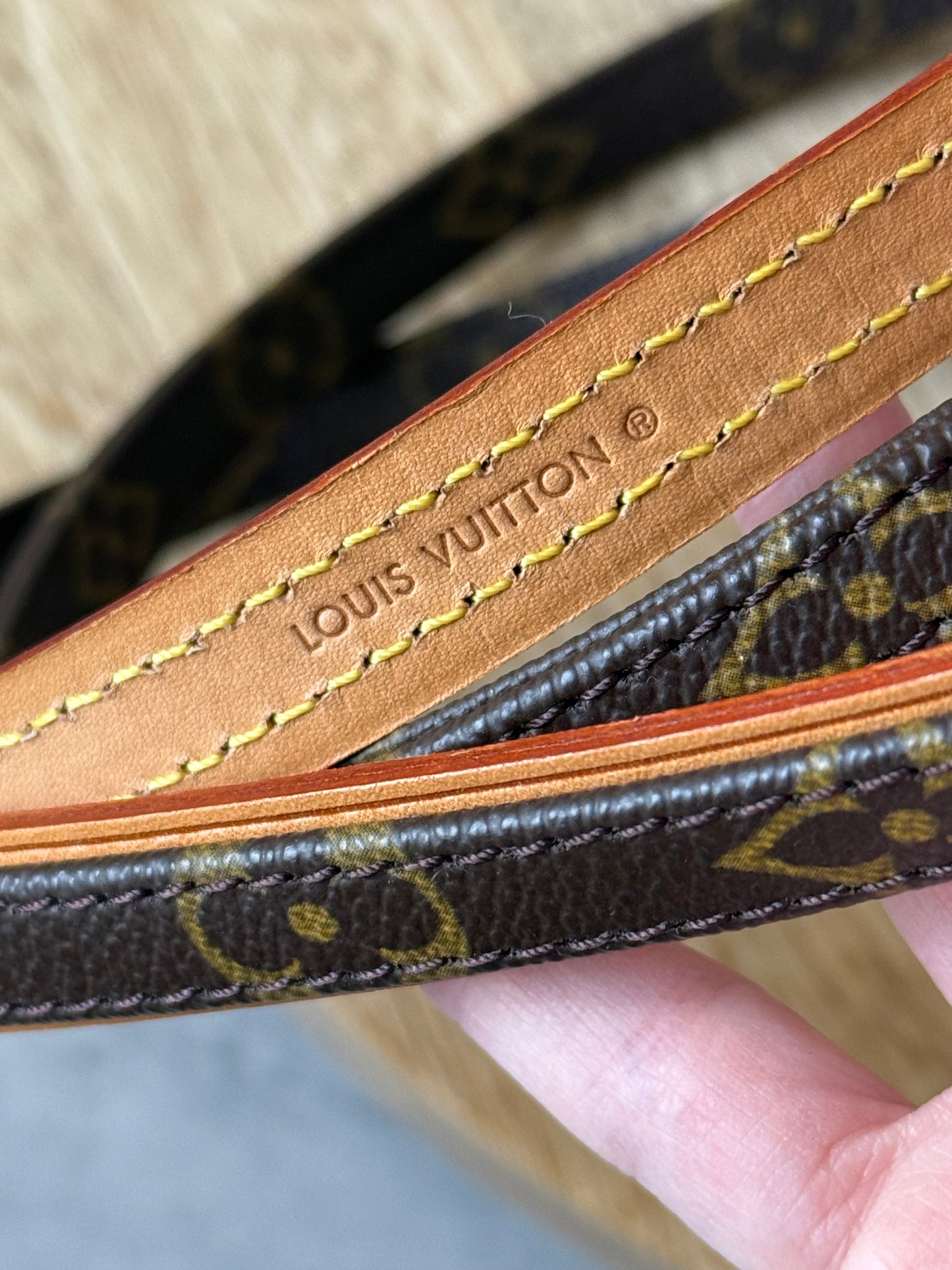LV Baxter Dog Leash