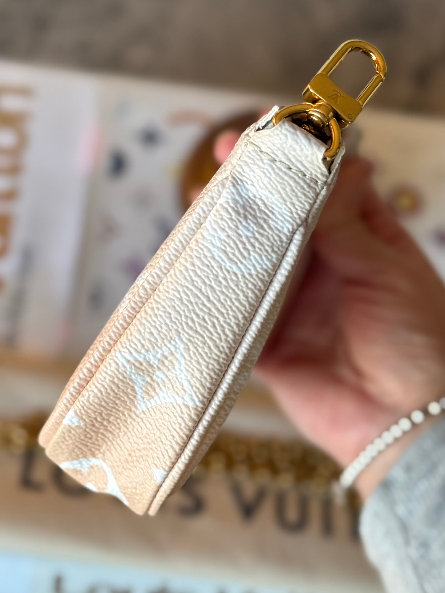 LV Multi Pochette By The Pool