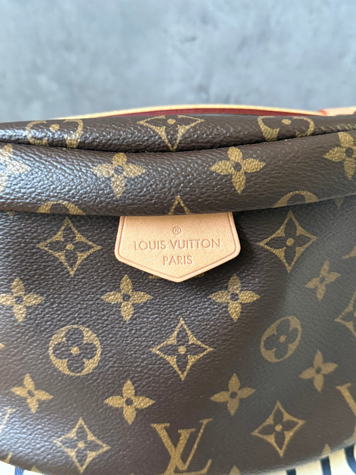 LV Bumbag MM monogram