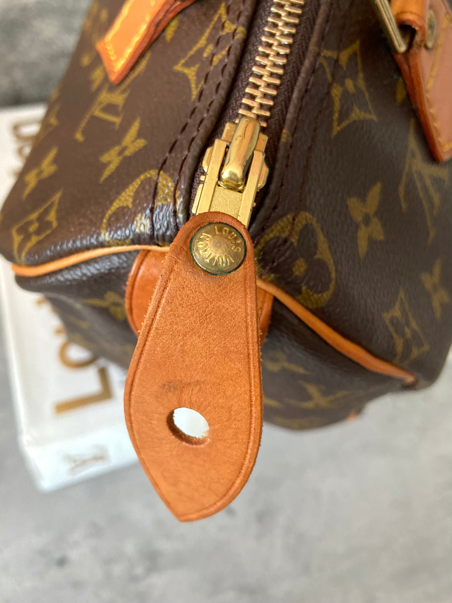LV Speedy 25 Monogram
