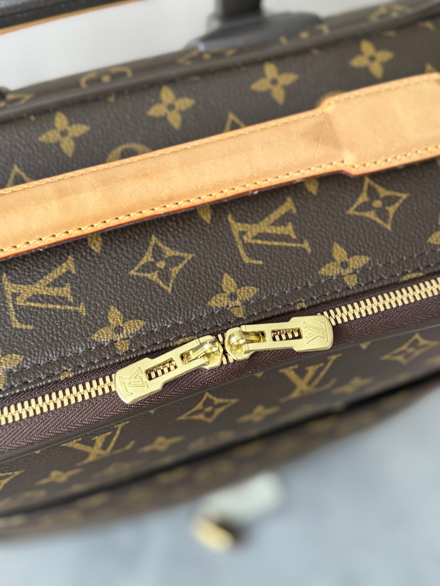 LV Pegase 45 Rolling Luggage