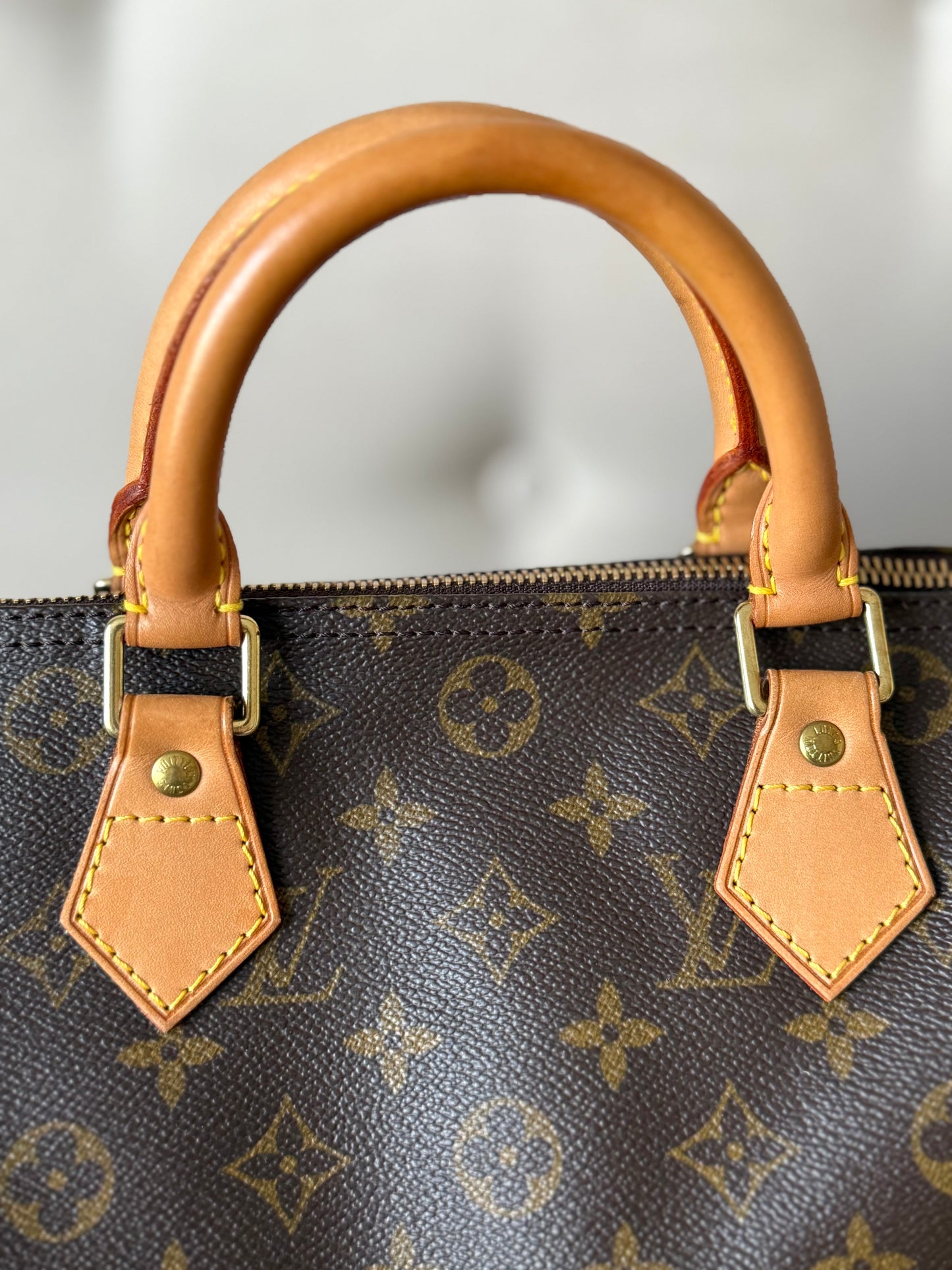 LV Speedy 30 Monogram