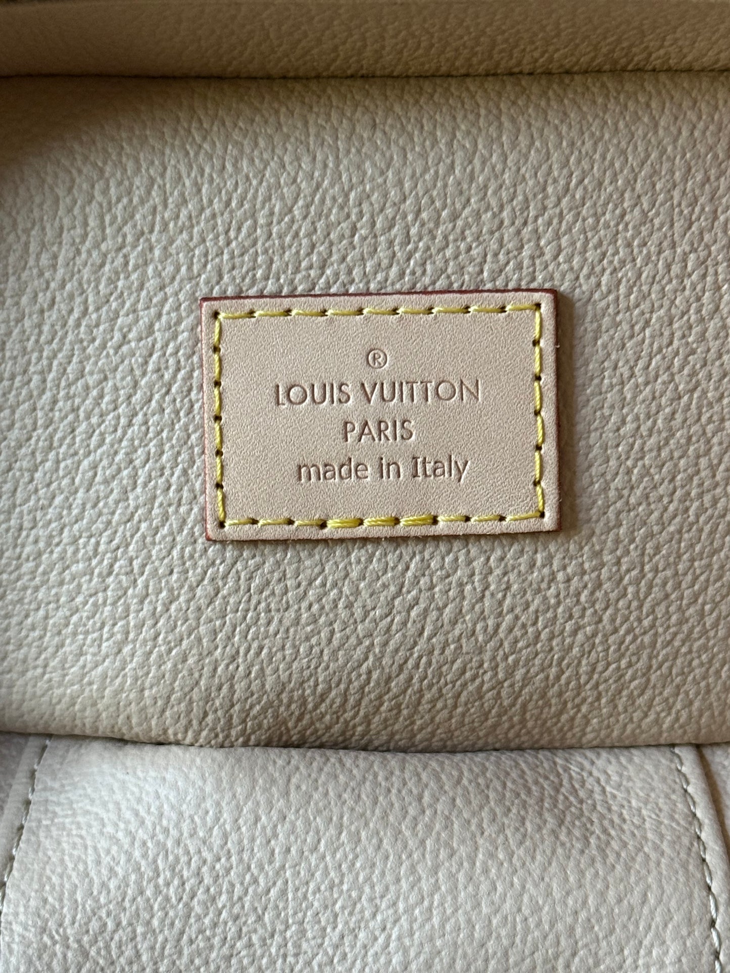 LV Nice Nano Monogram