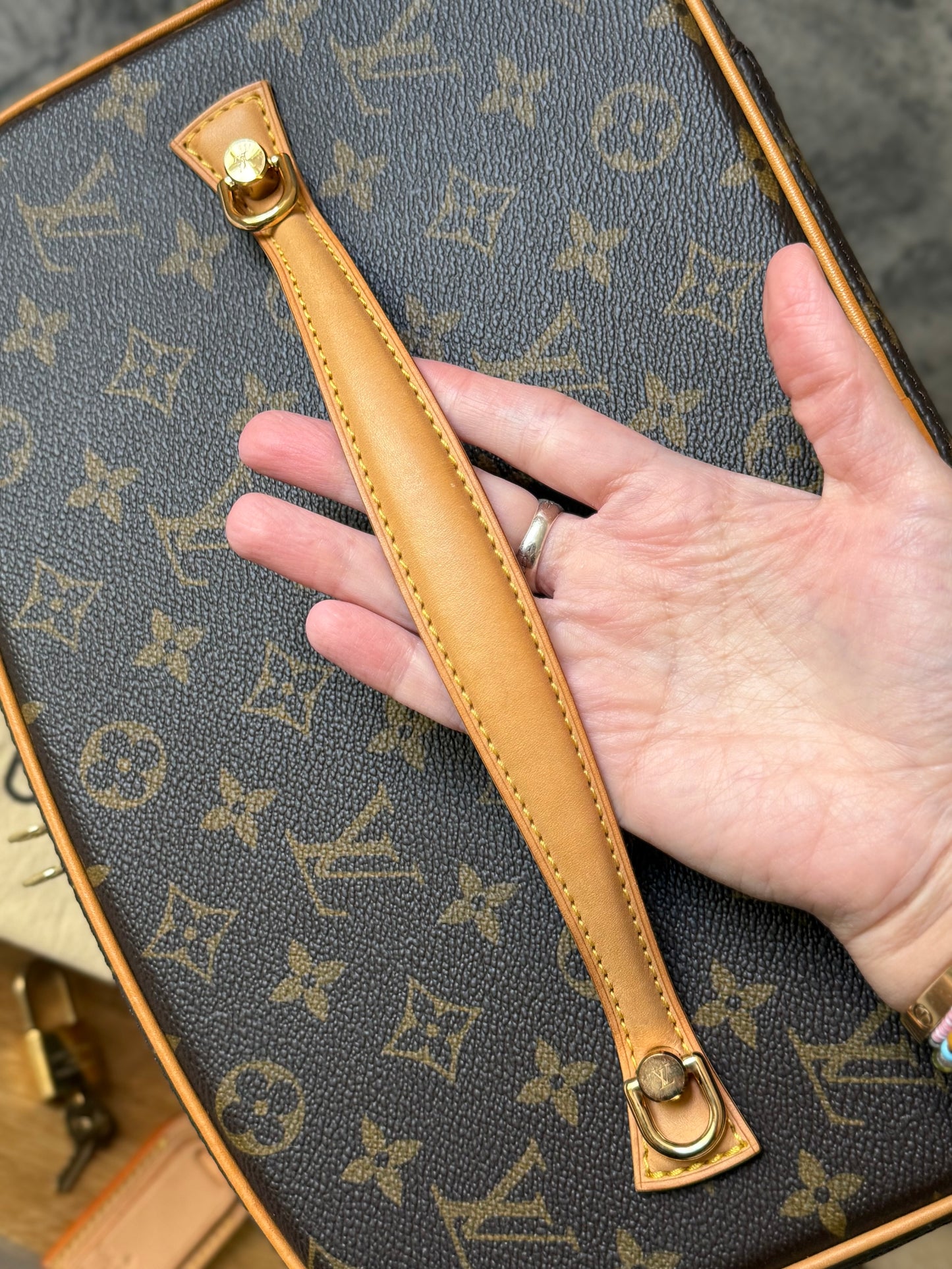 LV Nice Vanity Train Case