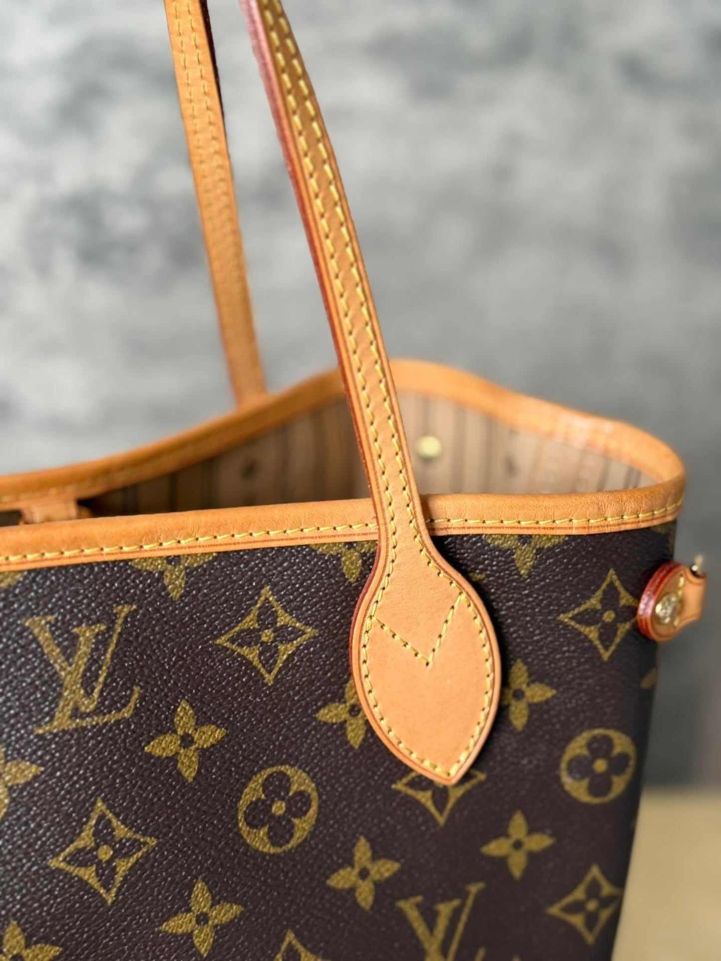 LV Neverfull PM Monigram