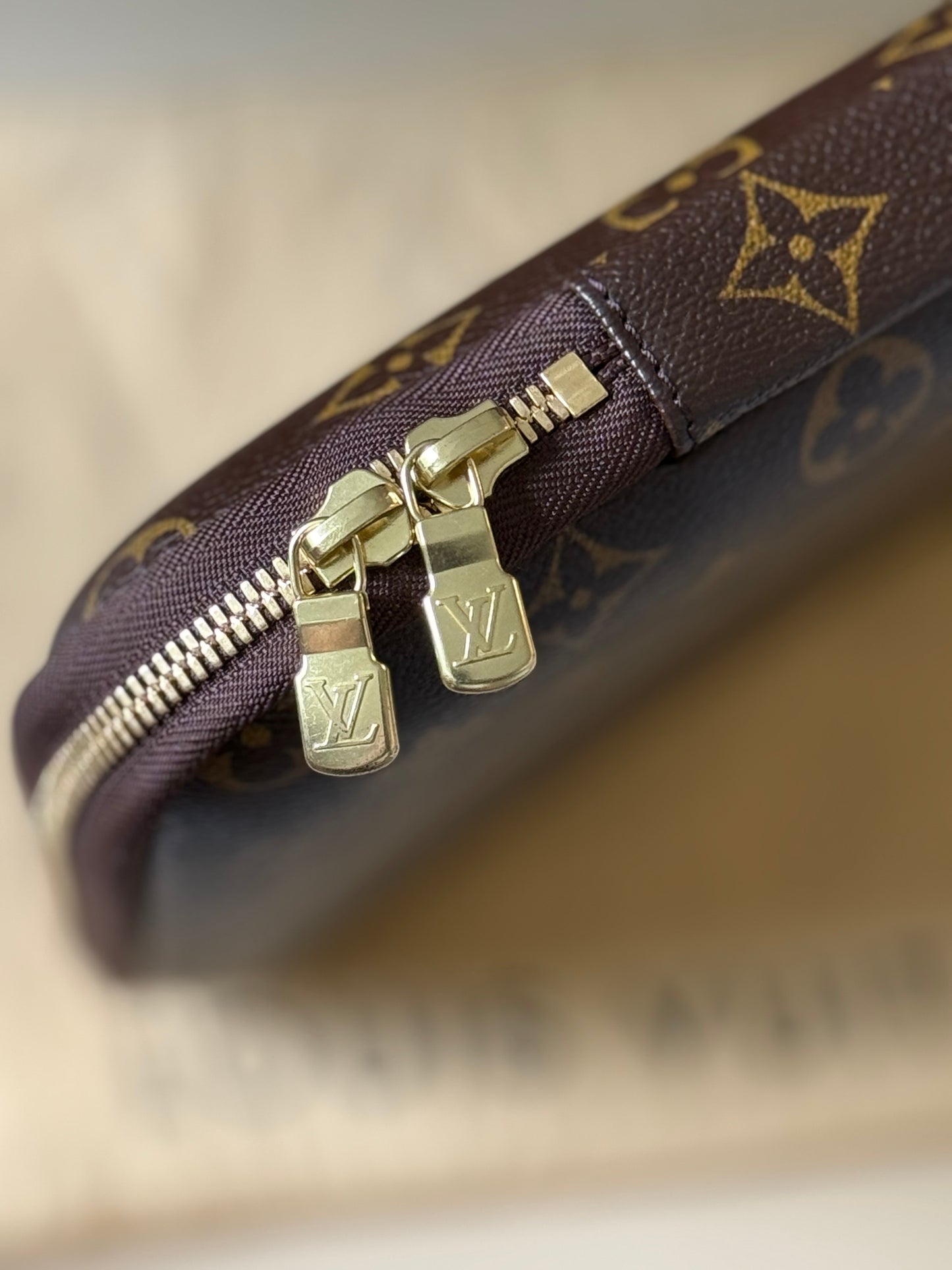 LV Laptop sleeve monogram