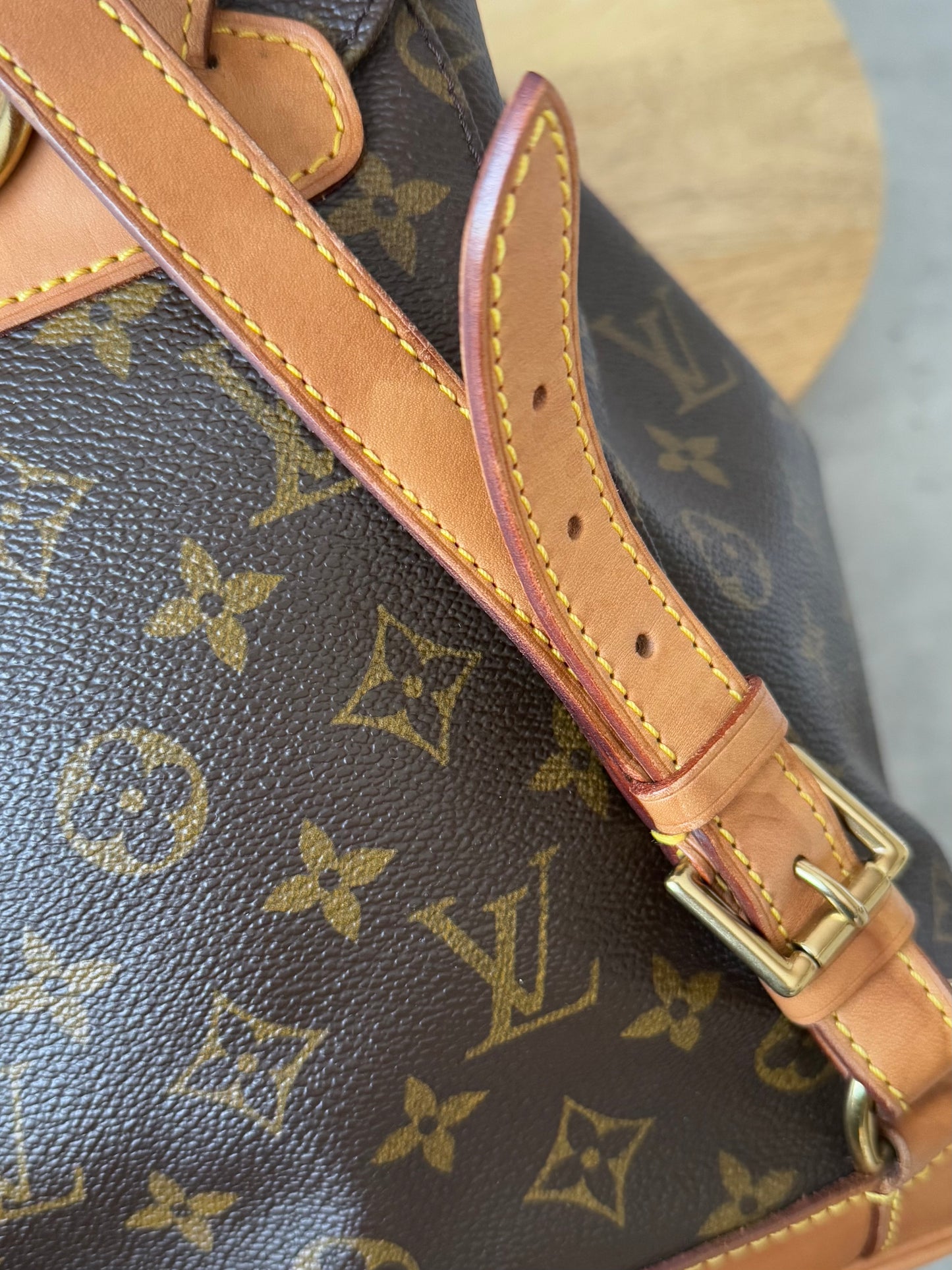LV Montsouris MM Backpack
