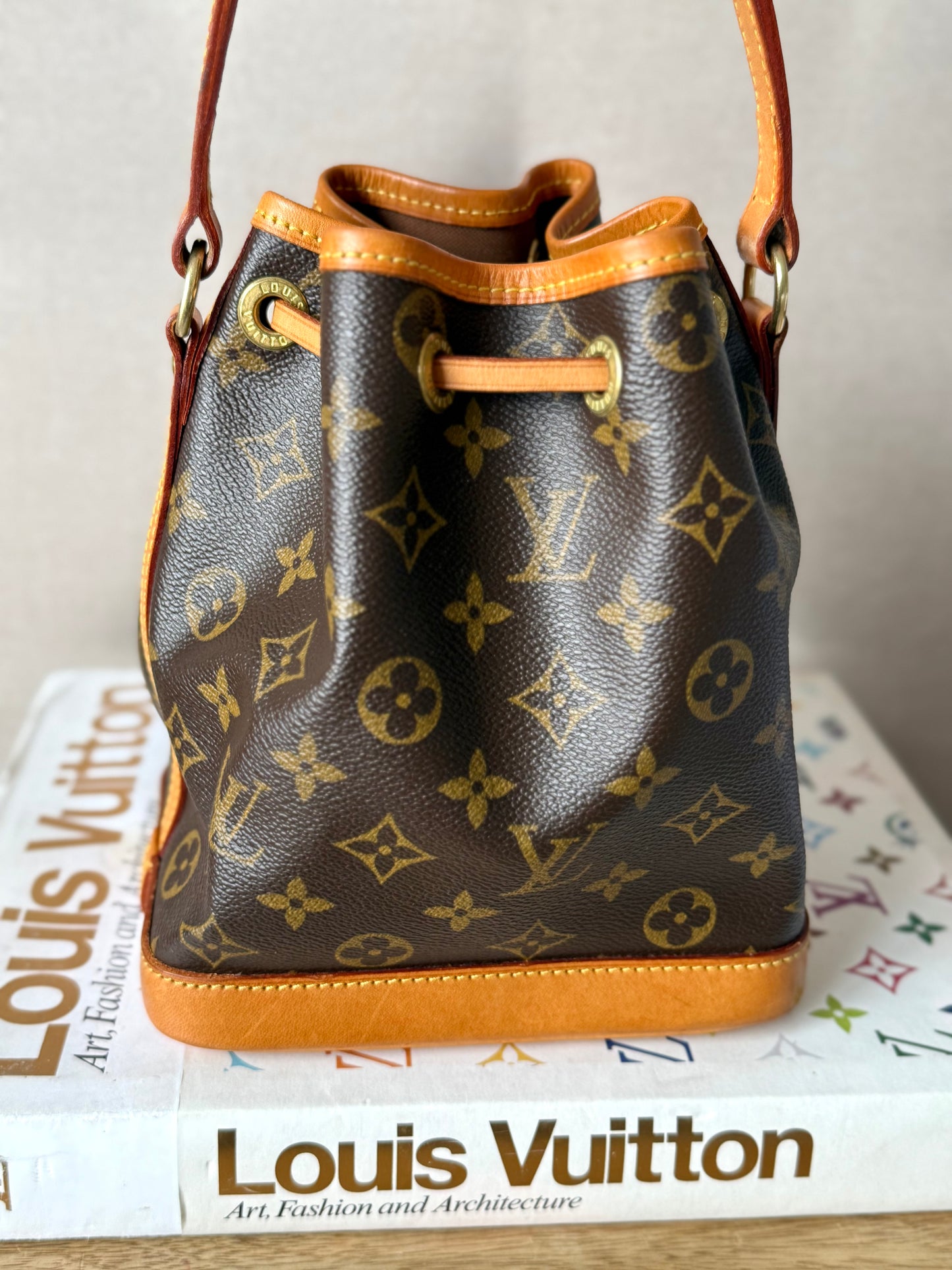 LV Mini Noe