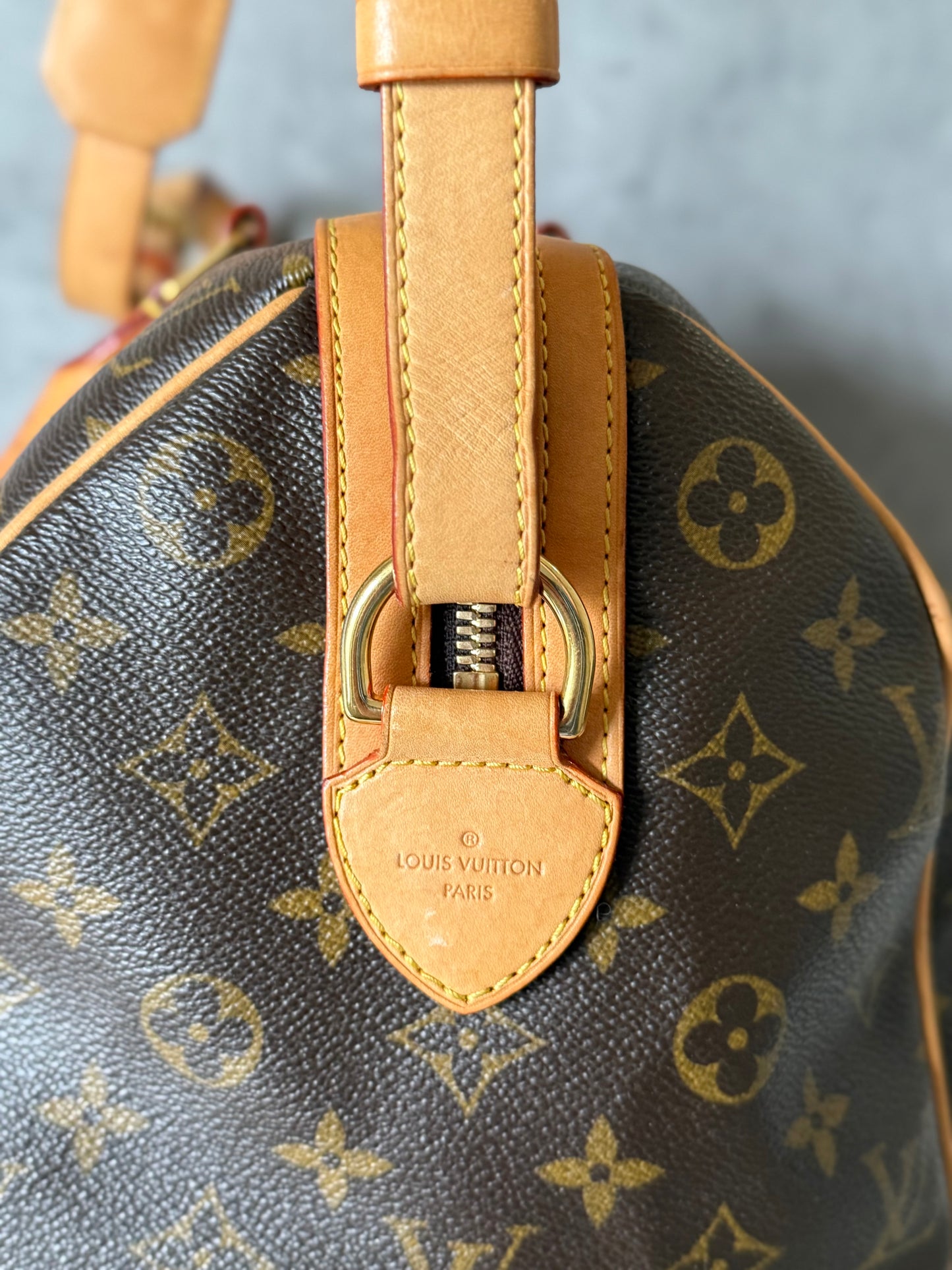 Louis Vuitton Sofia Coppola Speedy Limited Ed.