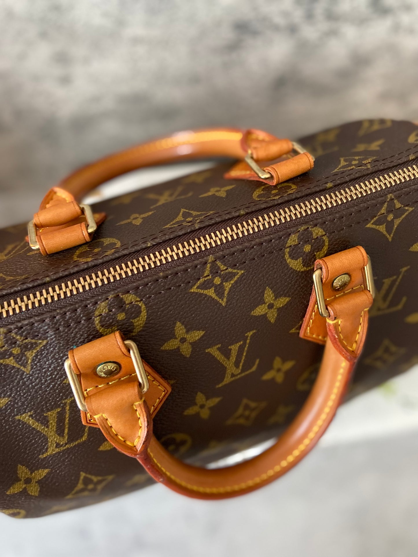 LV Speedy 25 Monogram