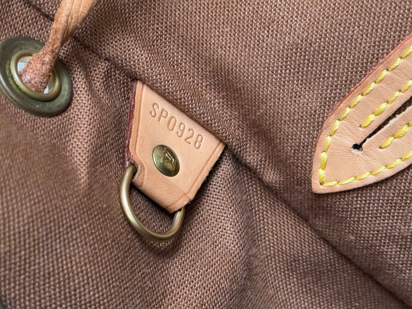 LV Montsouris MM Backpack