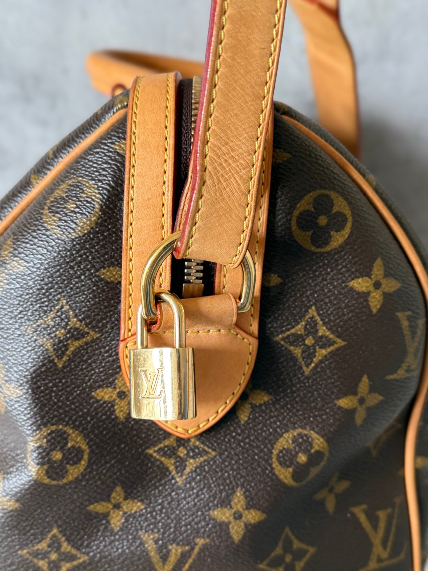 Louis Vuitton Sofia Coppola Speedy Limited Ed.