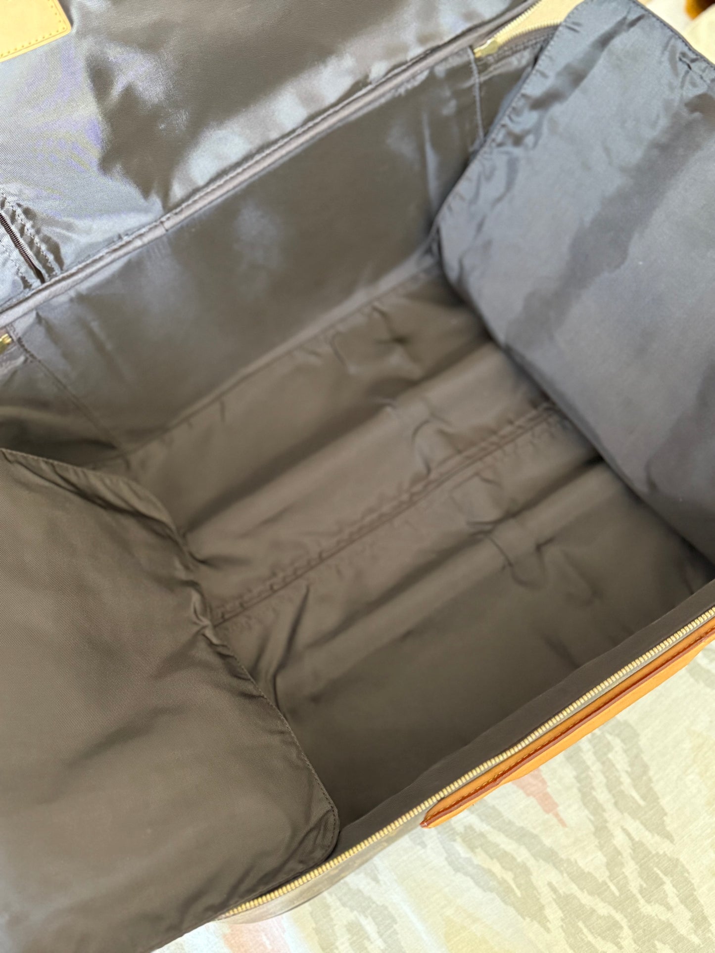 LV Pegase 55 Rolling Luggage