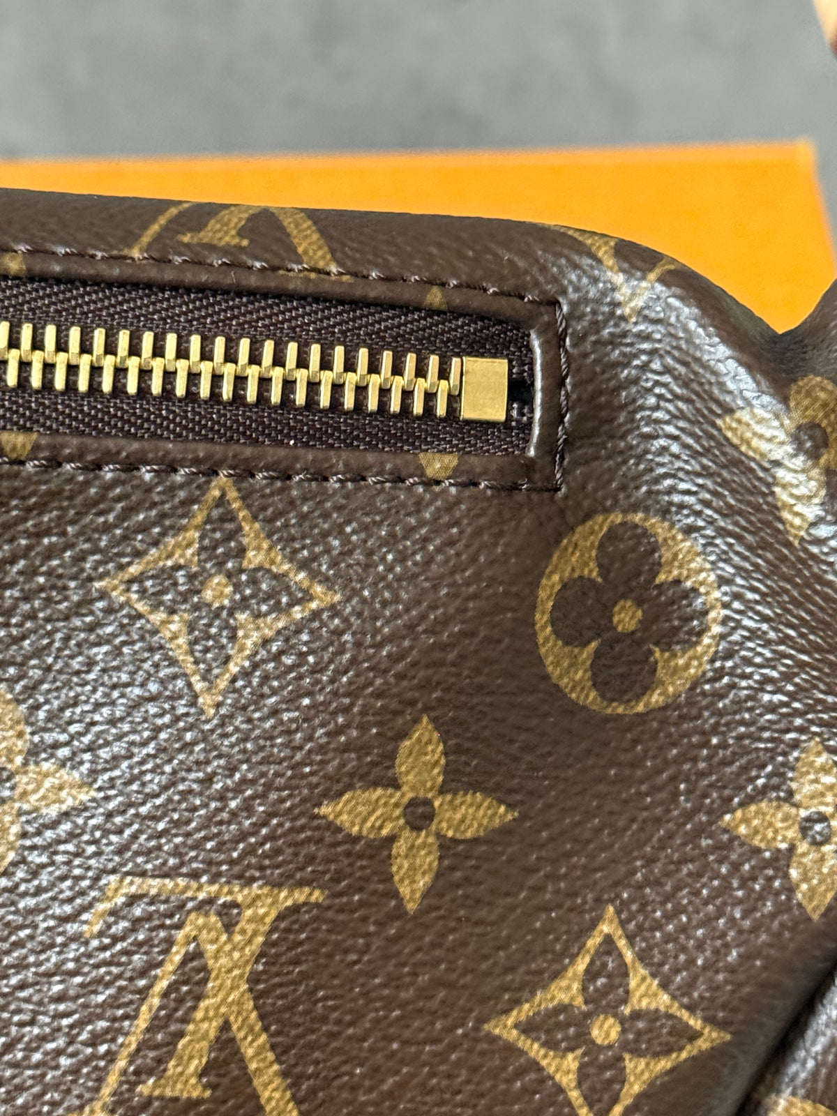LV Bumbag MM monogram